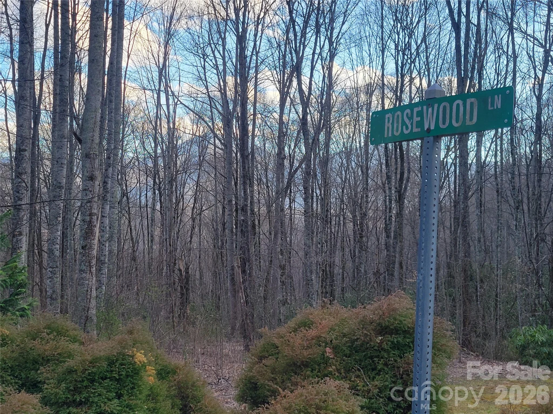 00 Rosewood Lane #6 - Photo 6