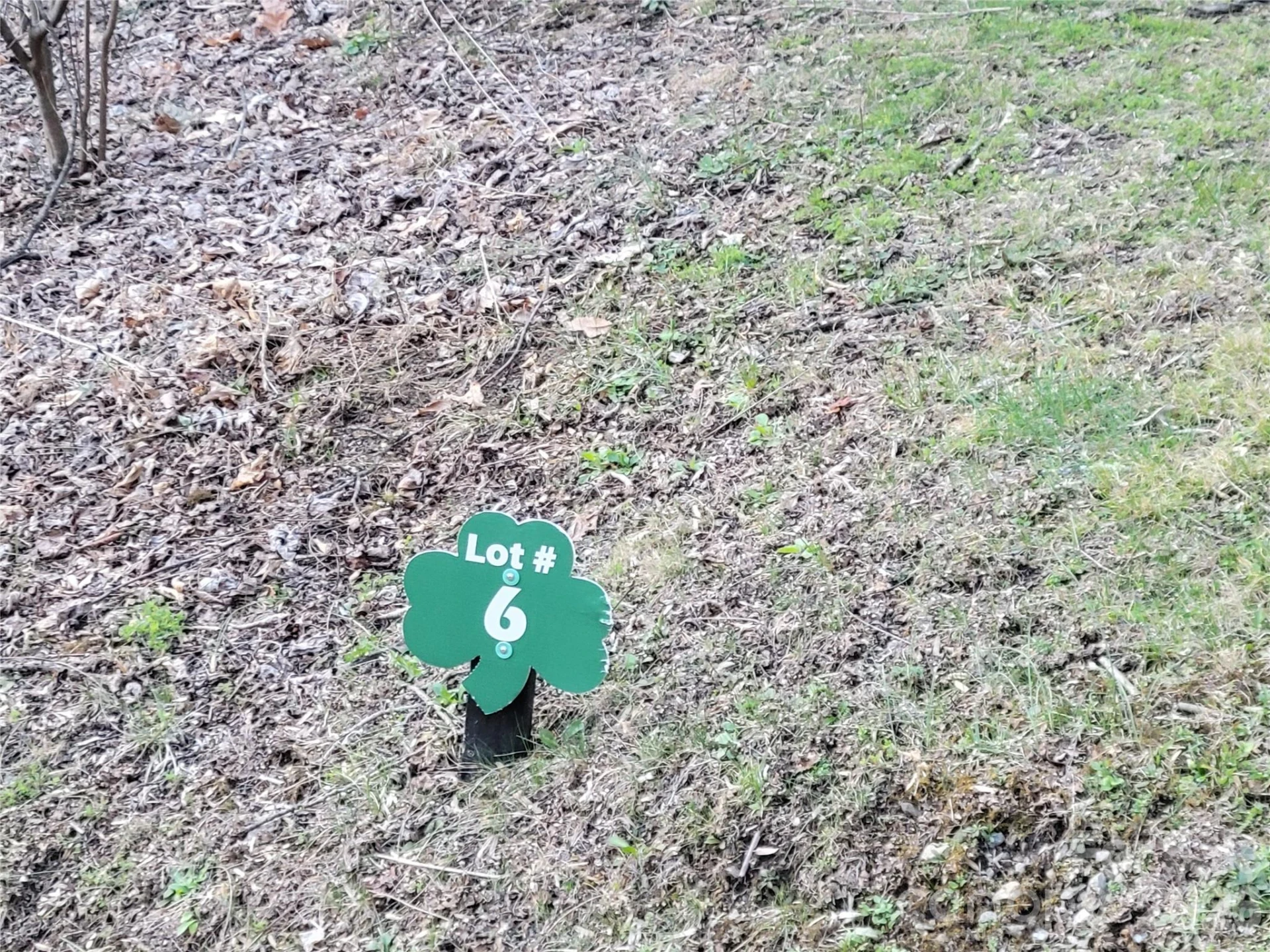 00 Rosewood Lane #6 - Photo 7