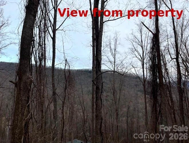 65 Weeping Cherry Forest Road - Photo 3