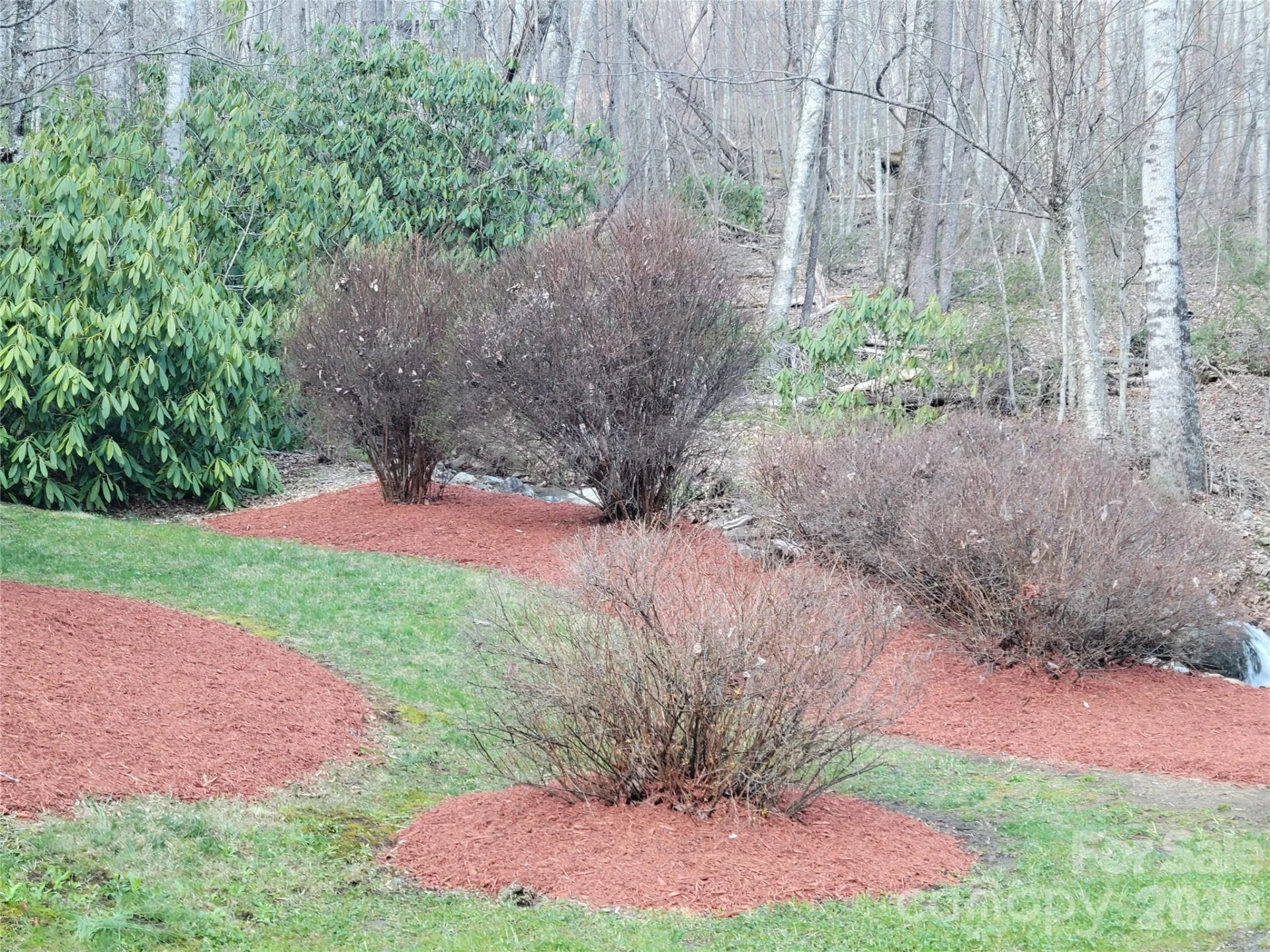 00 Covecrest Lane #16 - Photo 3