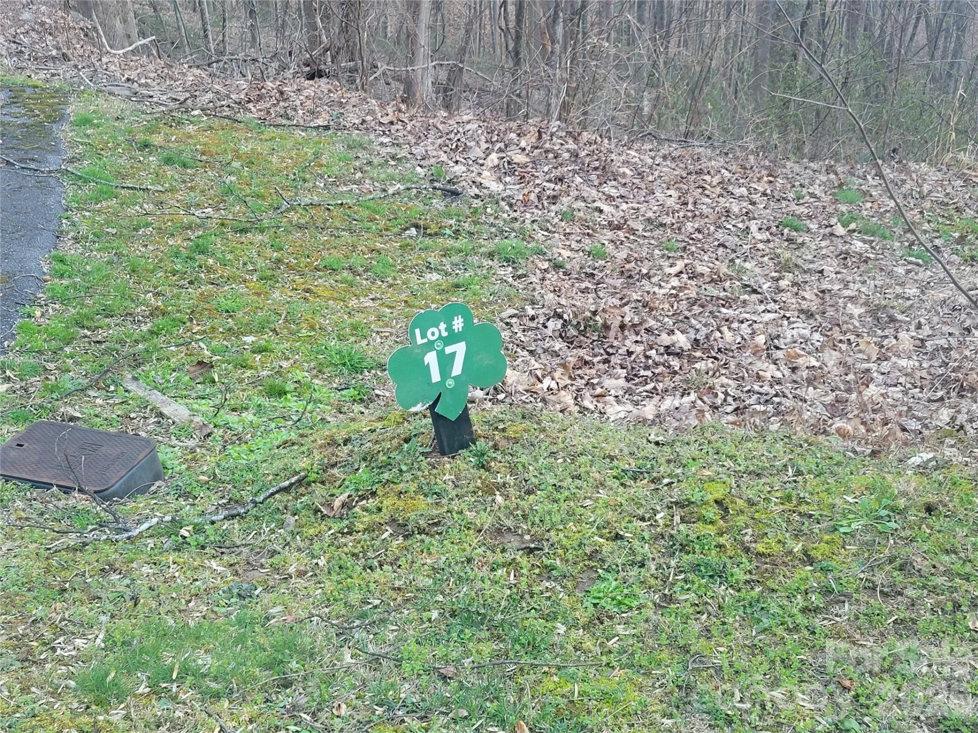 00 Covecrest Lane #17 - Photo 8