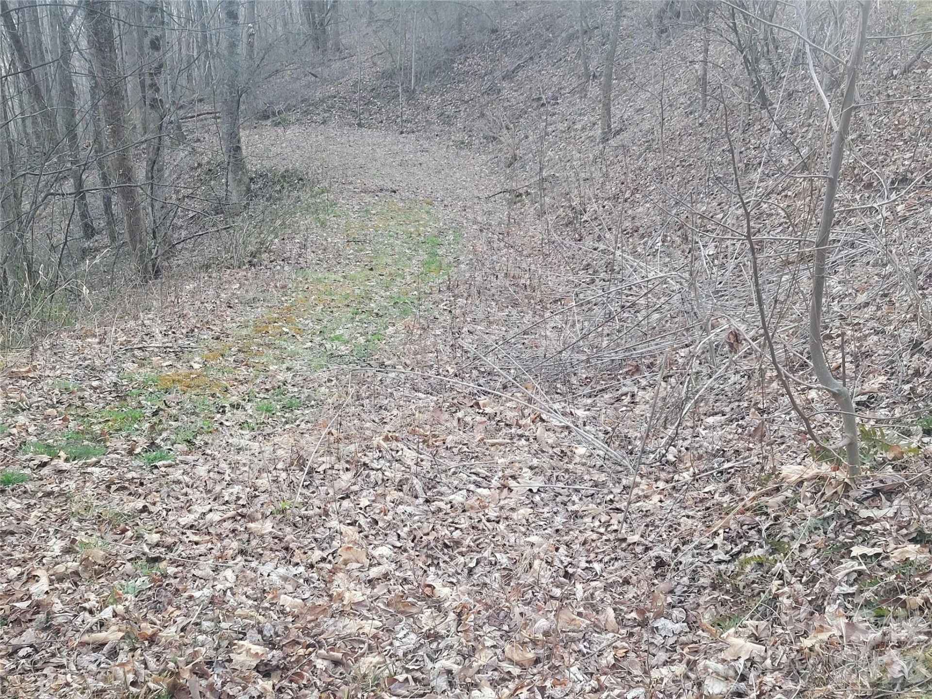 00 Covecrest Lane #17 - Photo 9