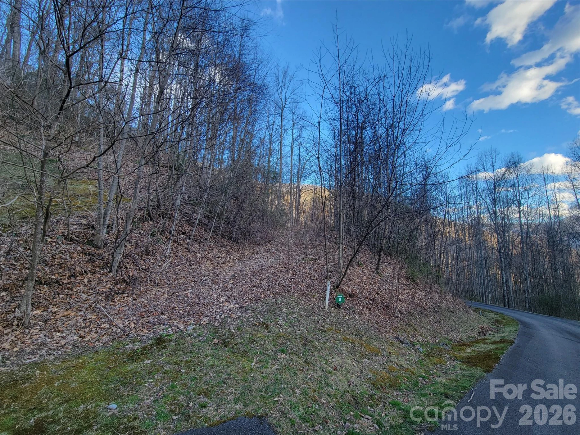 00 Covecrest Lane #1 & 5 - Photo 13