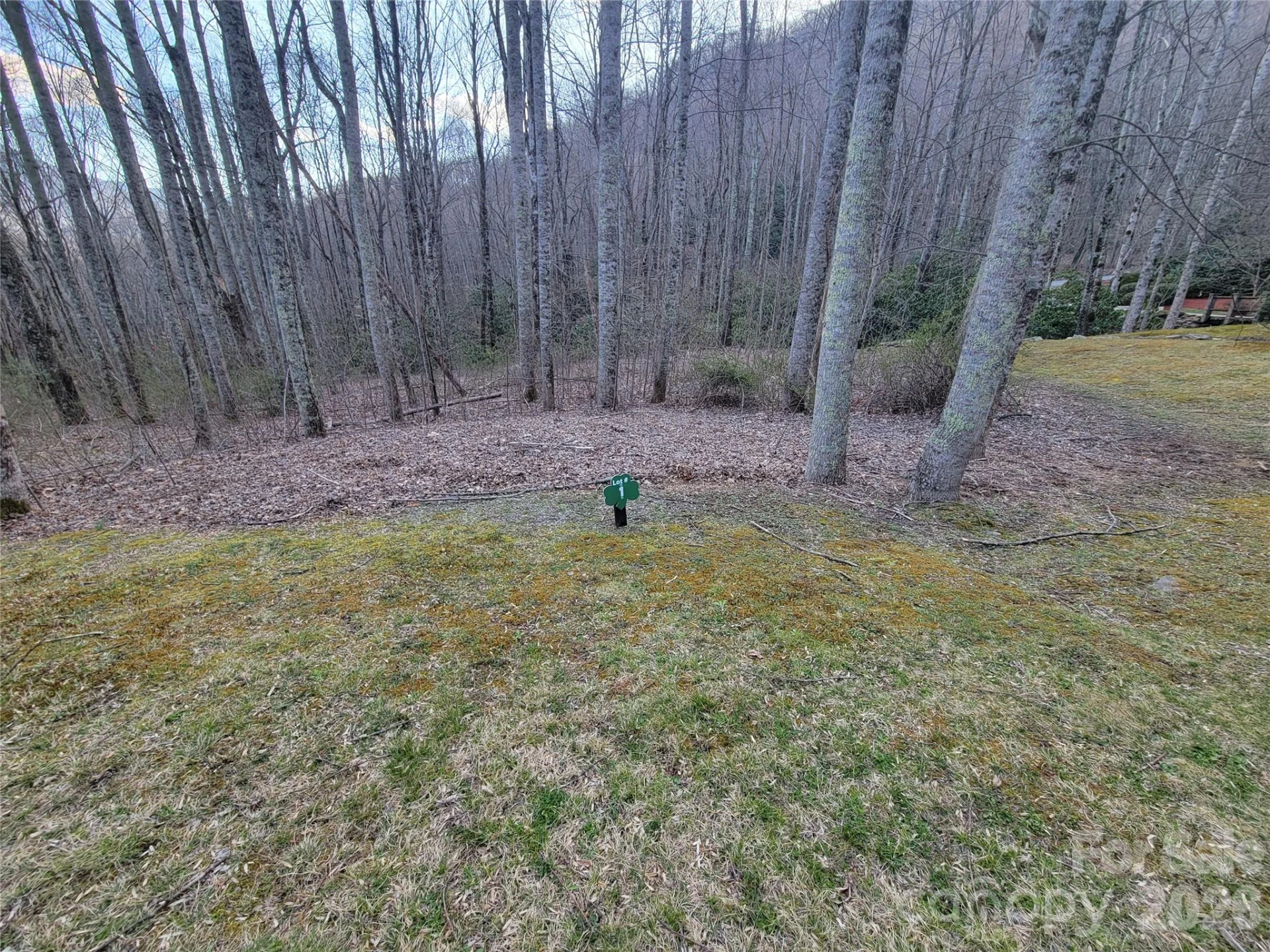 00 Covecrest Lane #1 & 5 - Photo 8