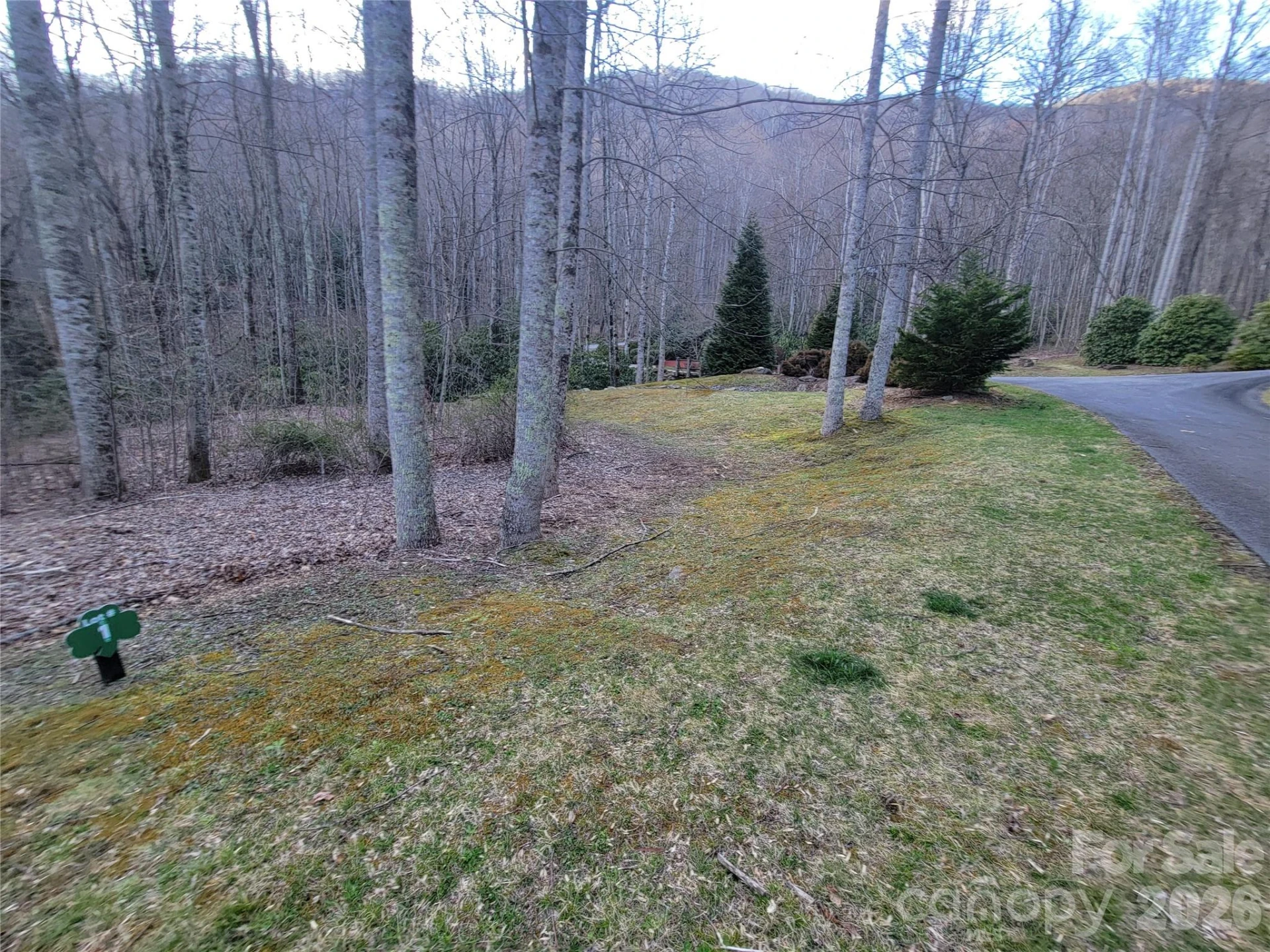 00 Covecrest Lane #1 & 5 - Photo 9