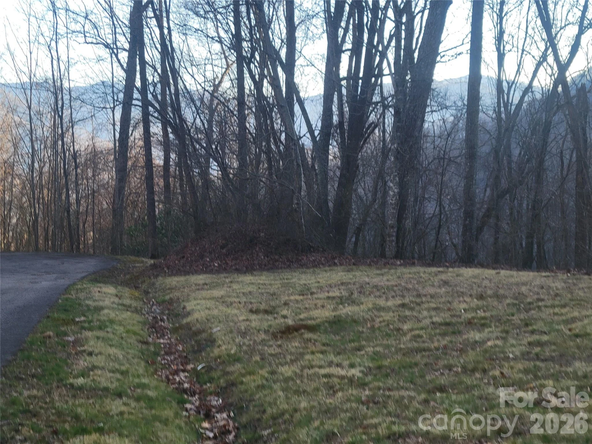 00 Covecrest Lane #11 & 13 - Photo 15