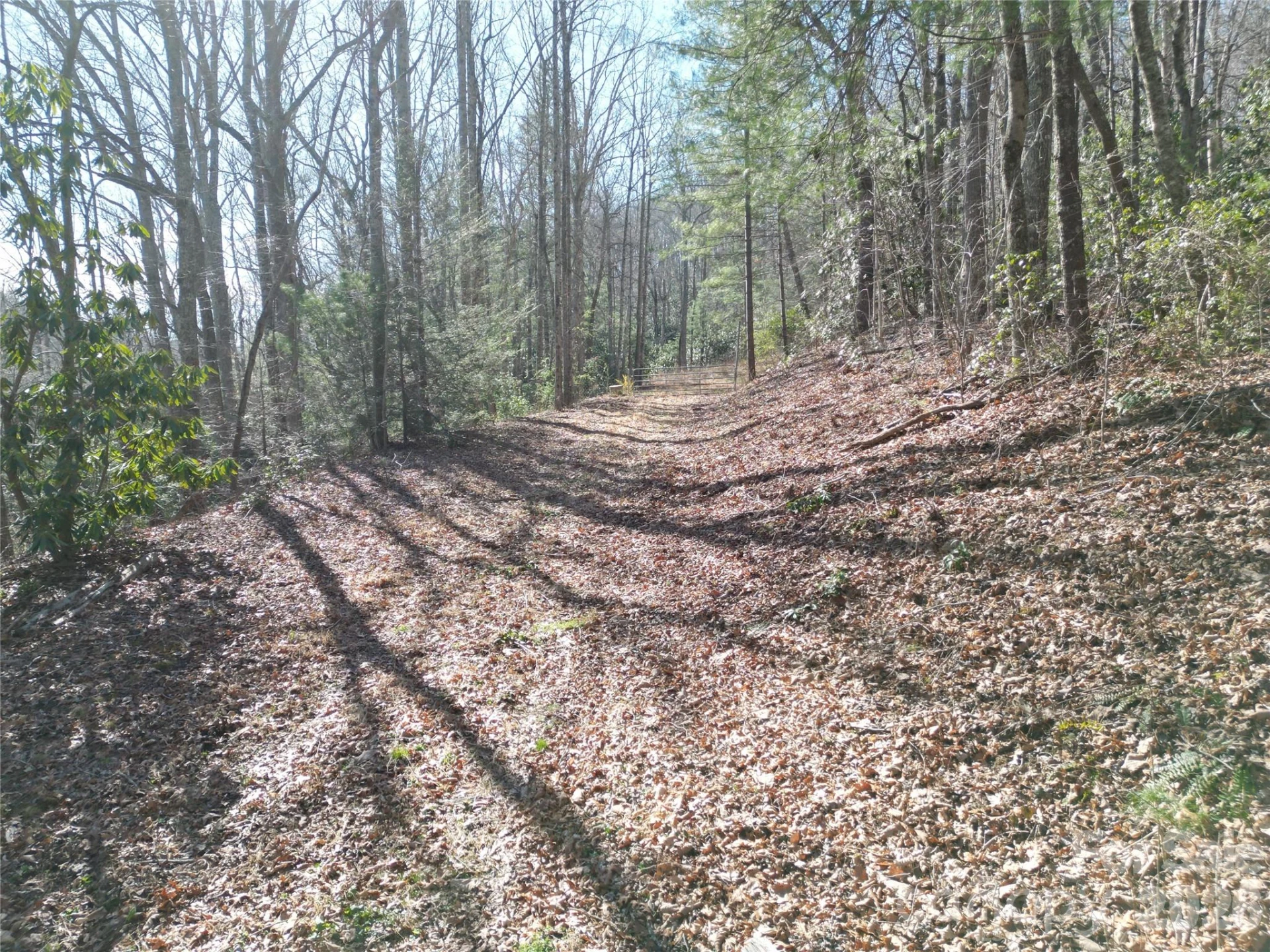 49 Reeds Creek Road - Photo 2