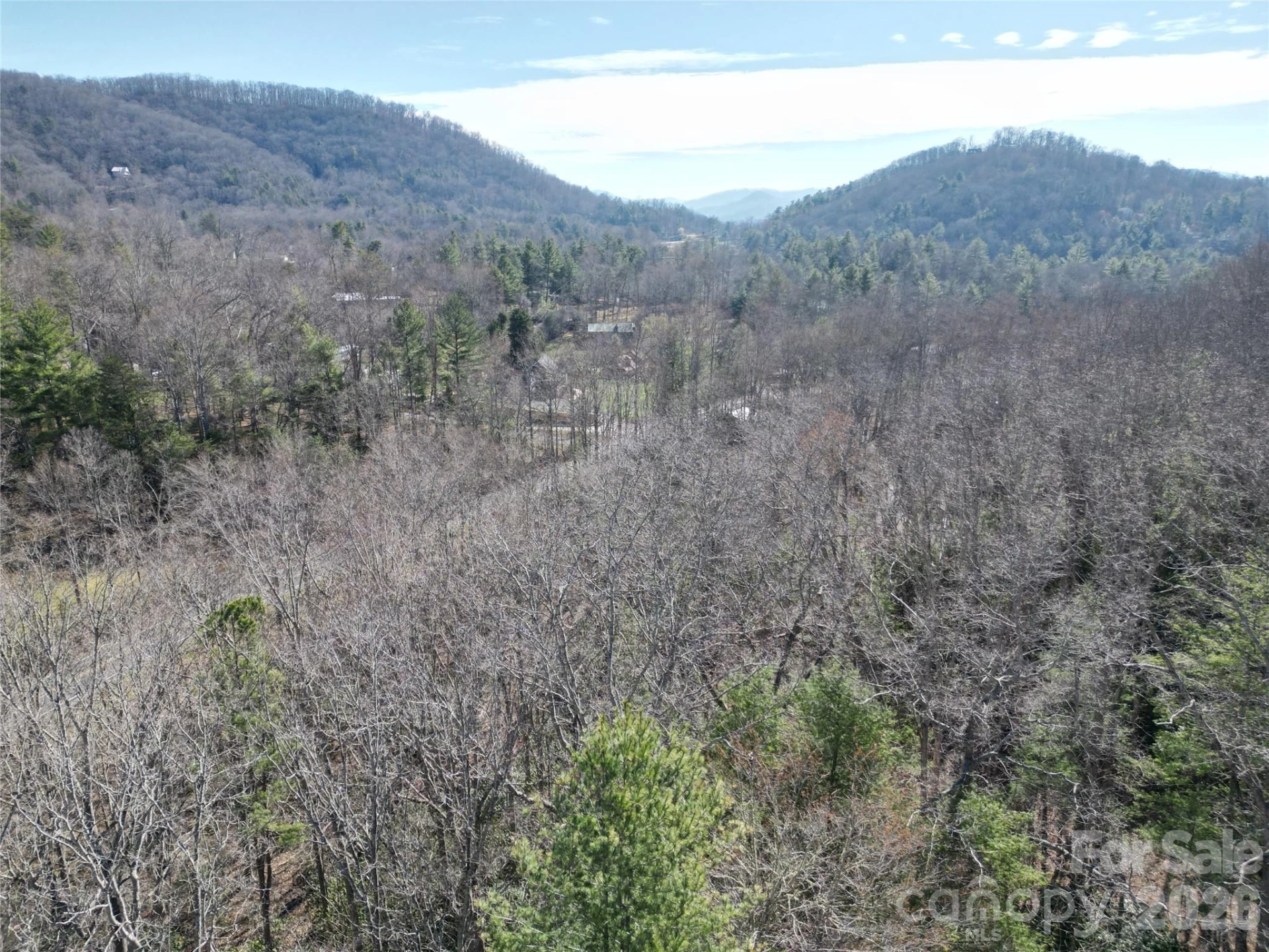 49 Reeds Creek Road - Photo 8