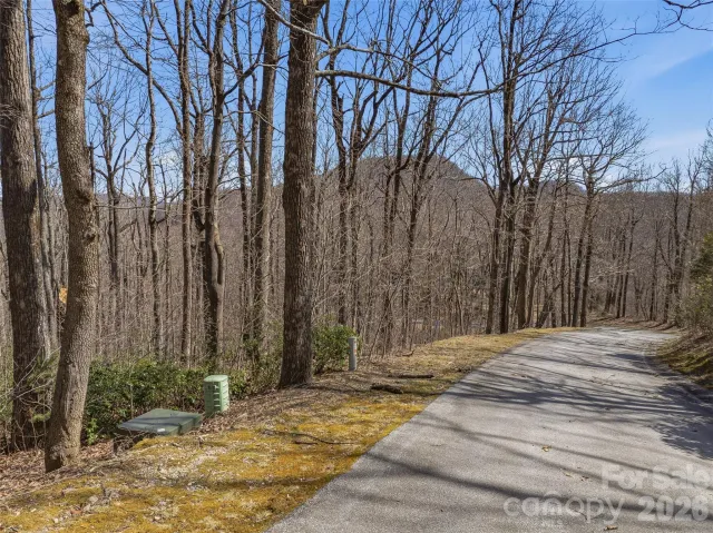 TBD Wild Magnolia Way, Zirconia, NC, 28790