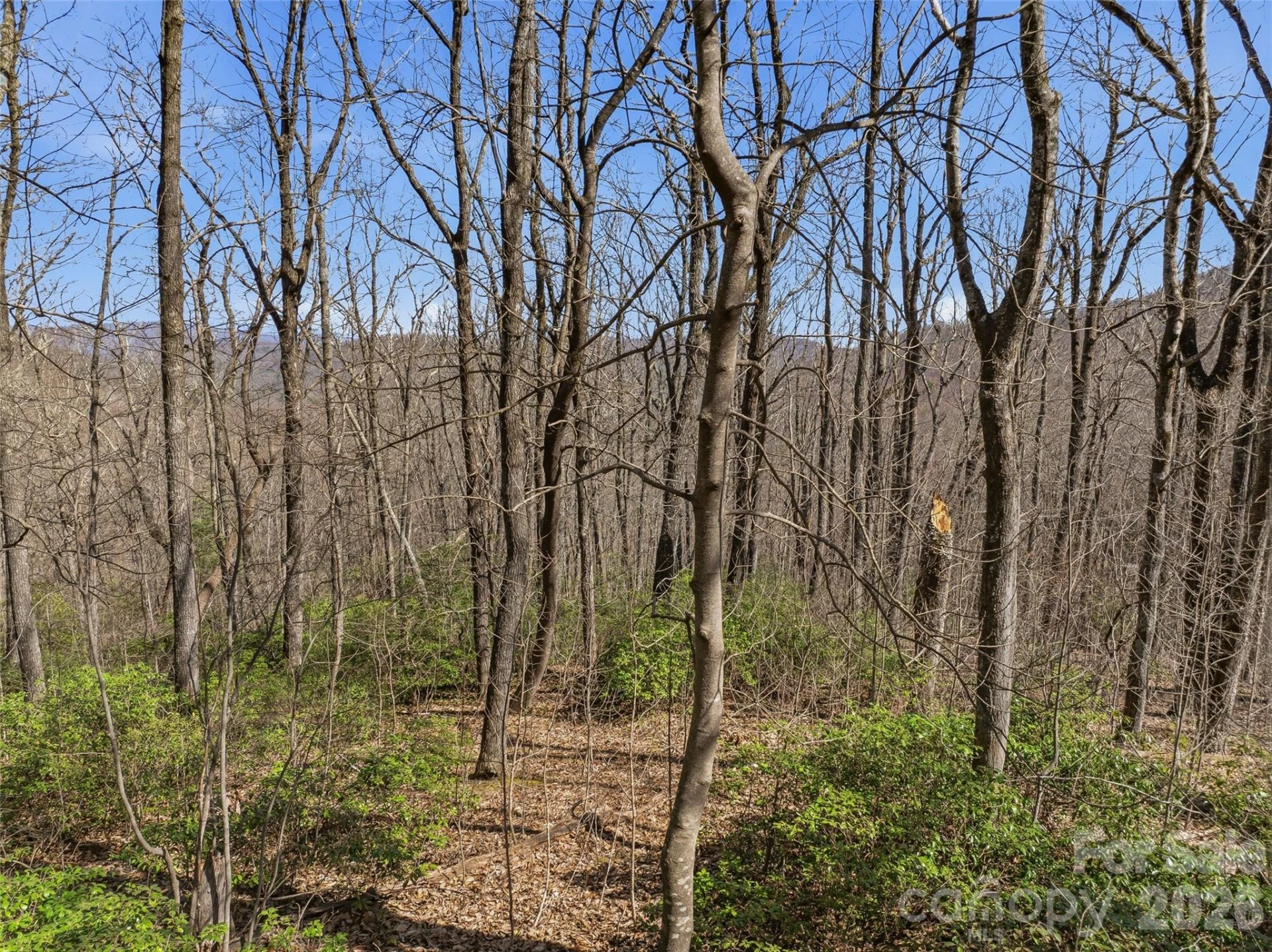TBD Wild Magnolia Way #52 - Photo 5