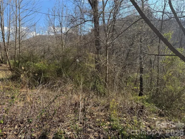 9999 Ox Creek Road, Weaverville, NC, 28787