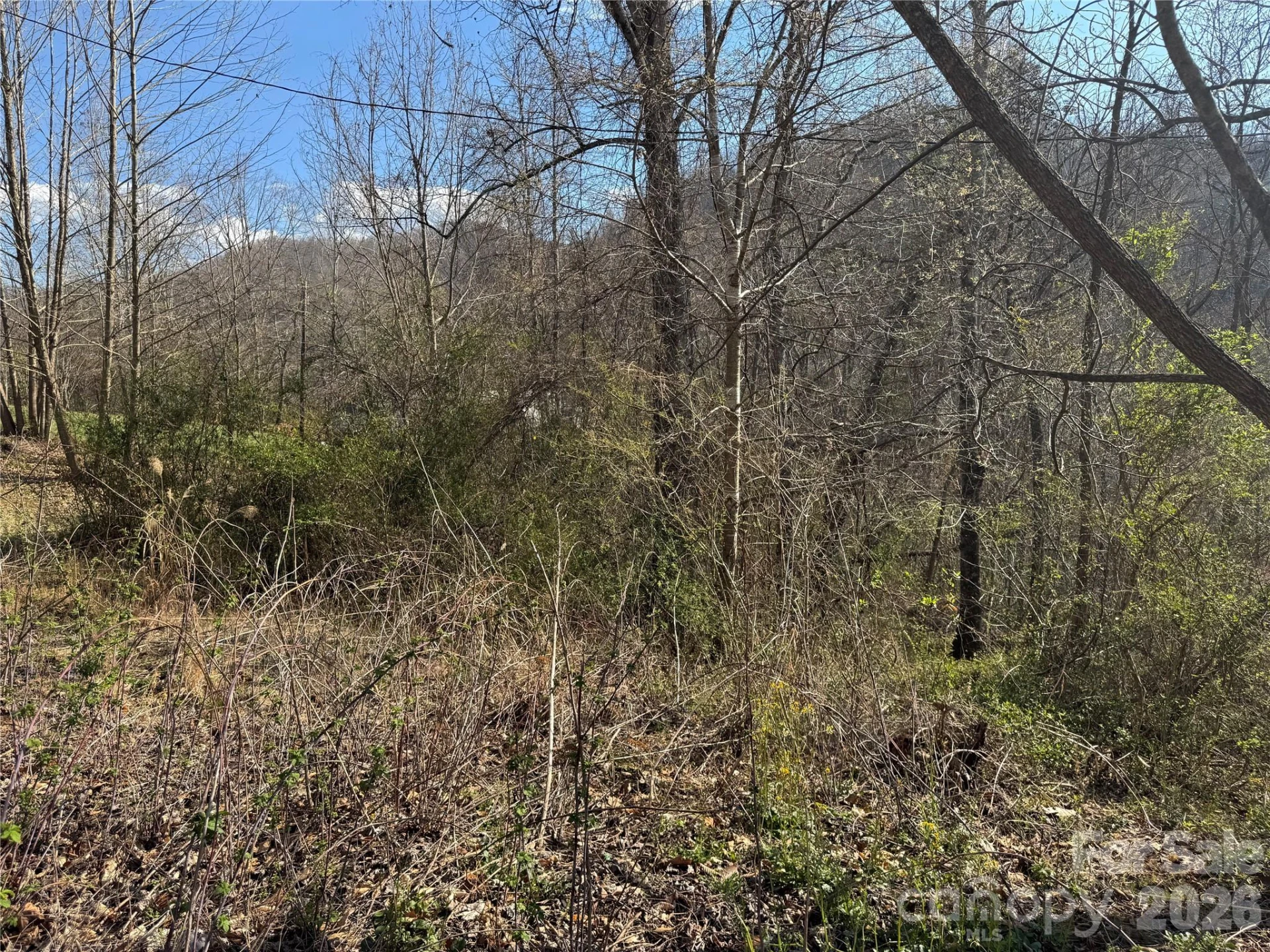 9999 Ox Creek Road