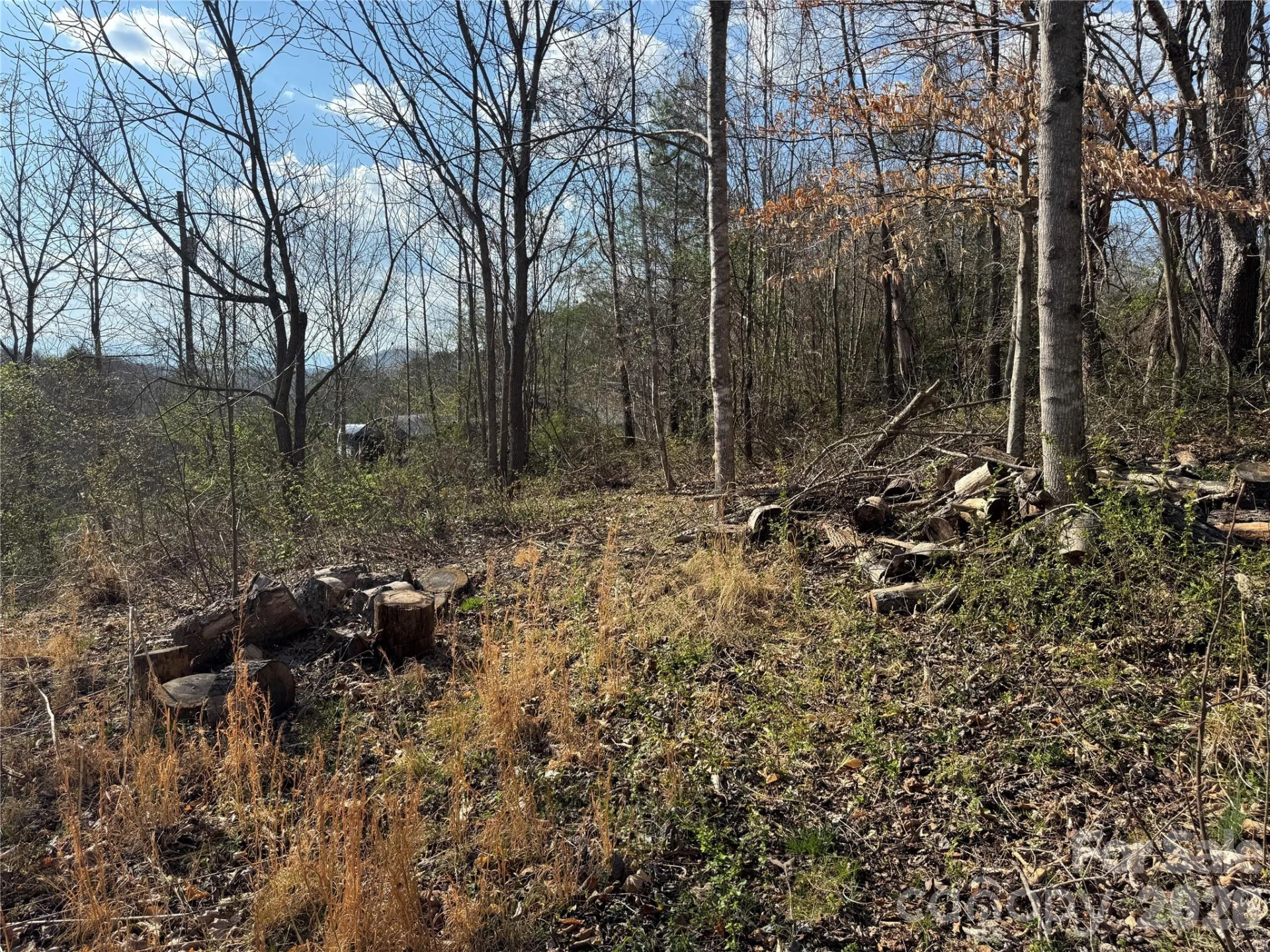9999 Ox Creek Road - Photo 3