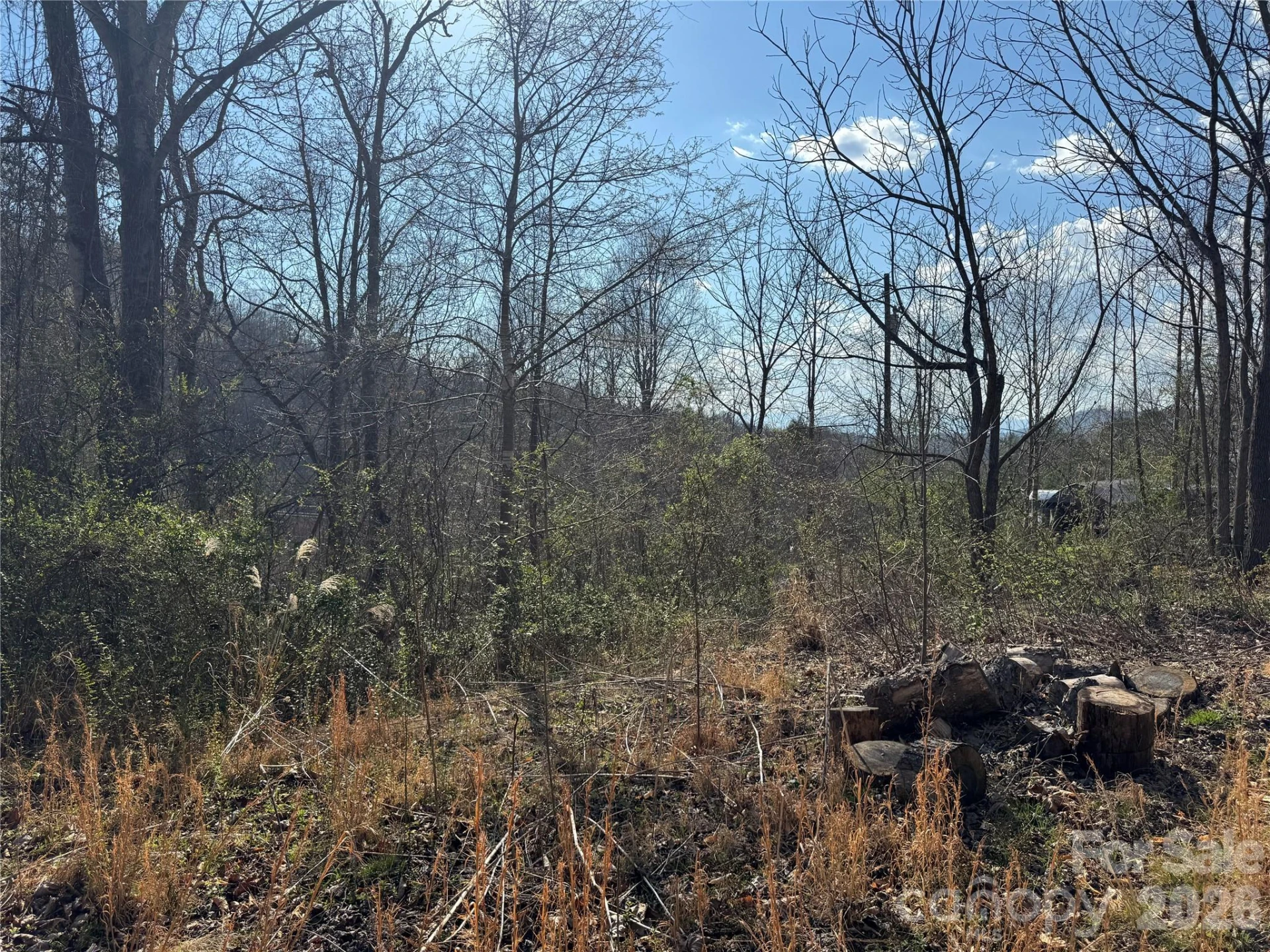 9999 Ox Creek Road - Photo 4