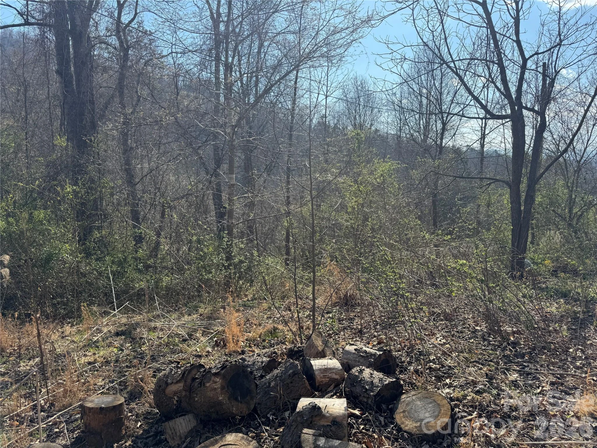 9999 Ox Creek Road - Photo 5
