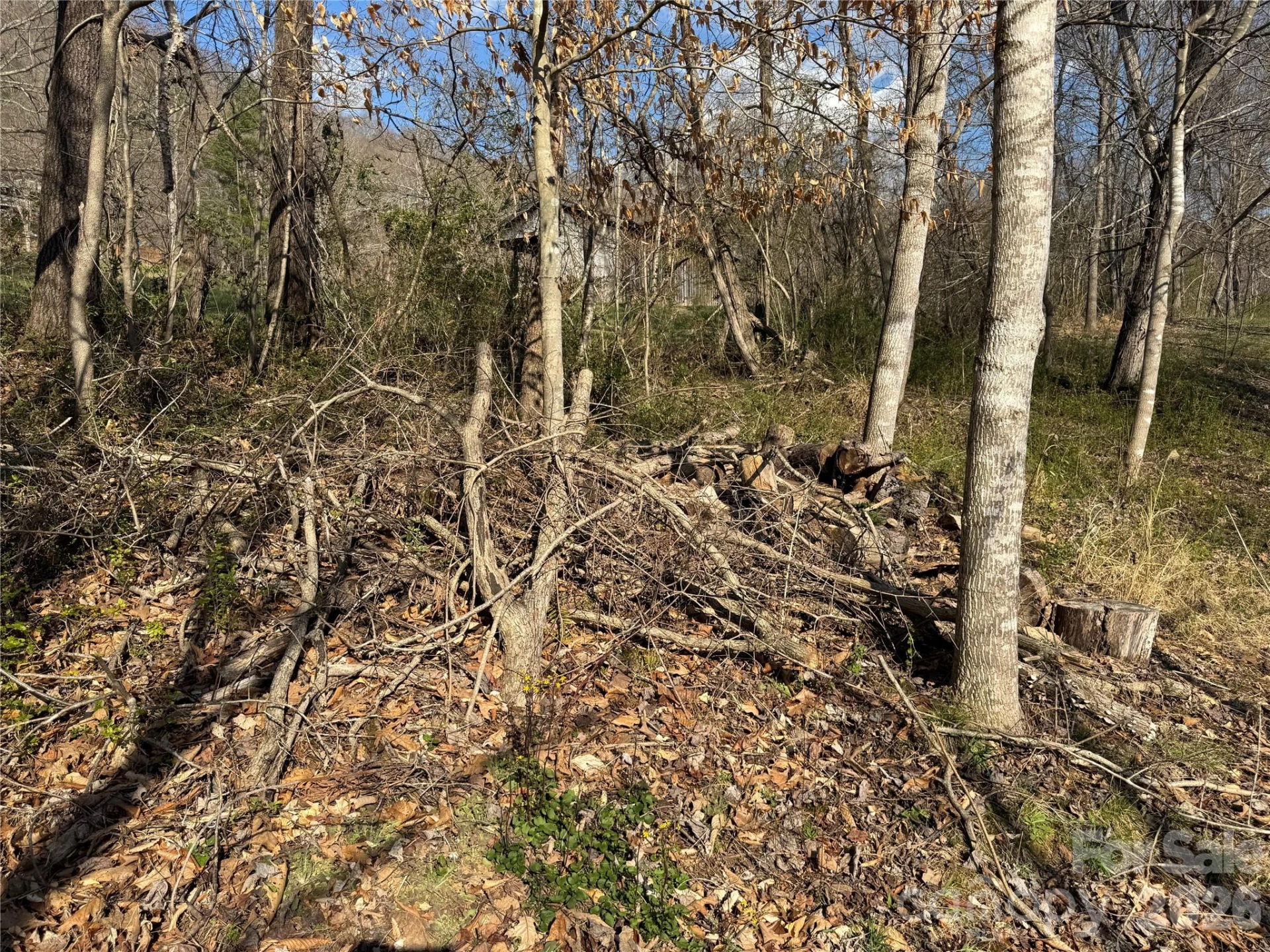 9999 Ox Creek Road - Photo 6