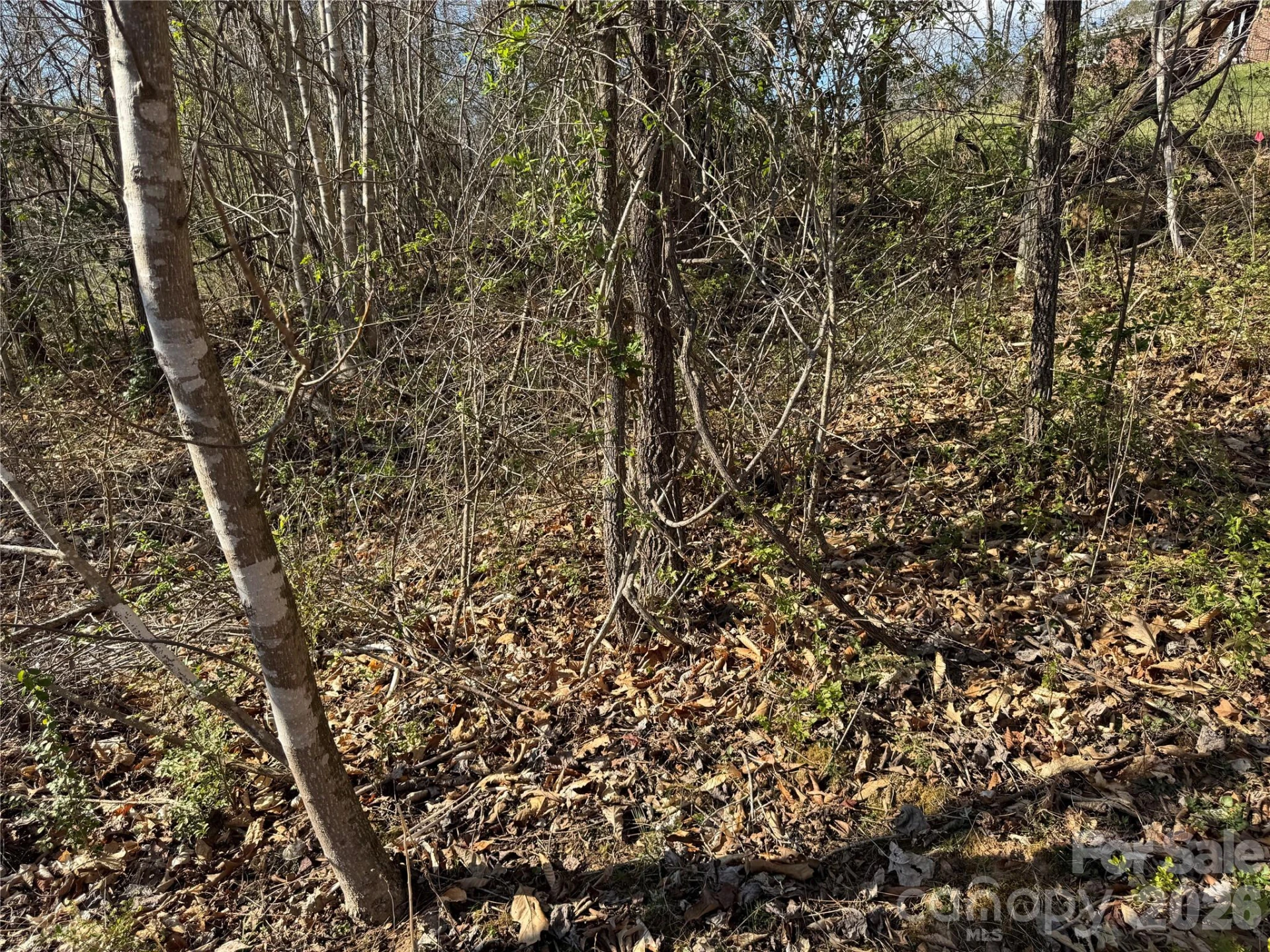 9999 Ox Creek Road - Photo 7