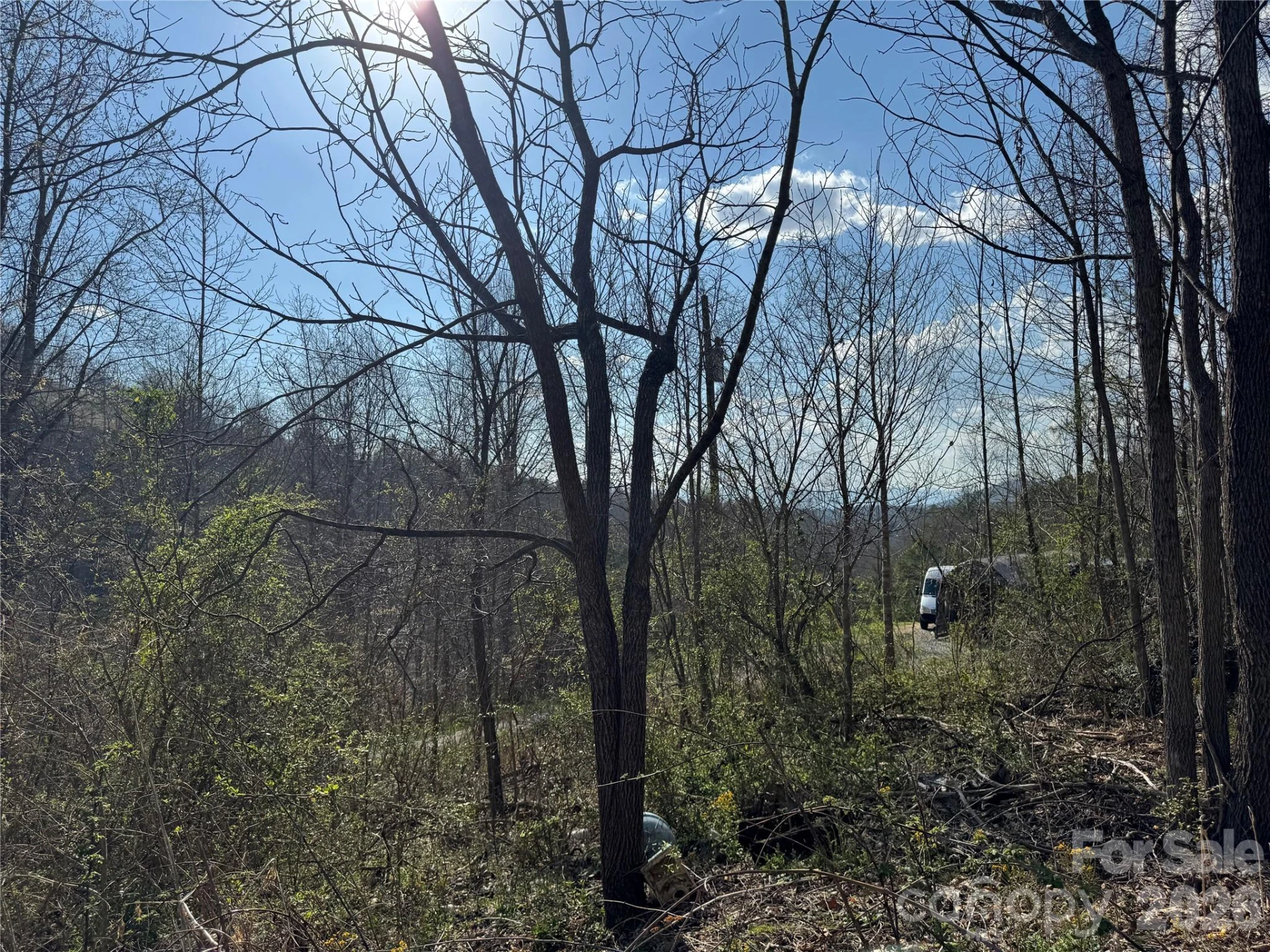 9999 Ox Creek Road - Photo 9