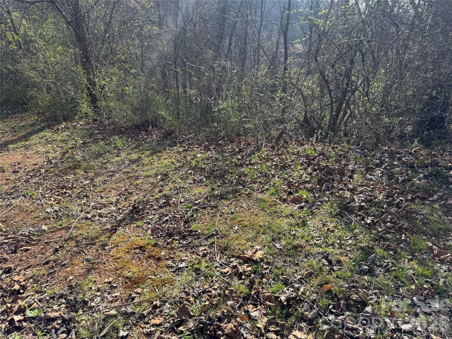 9999 Ox Creek Road - Photo 11