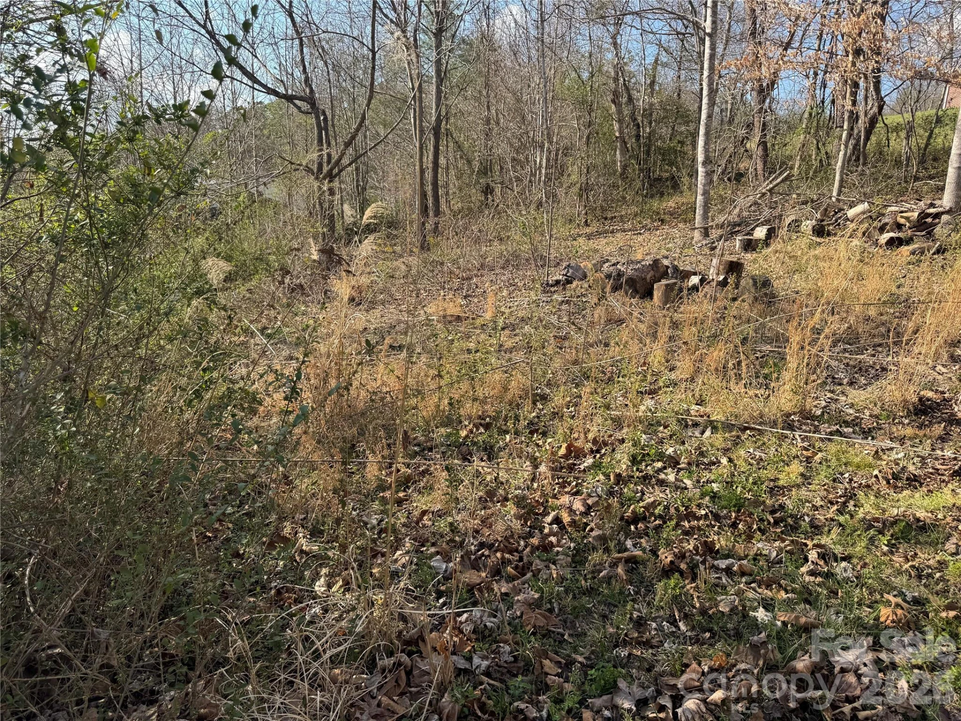 9999 Ox Creek Road - Photo 13