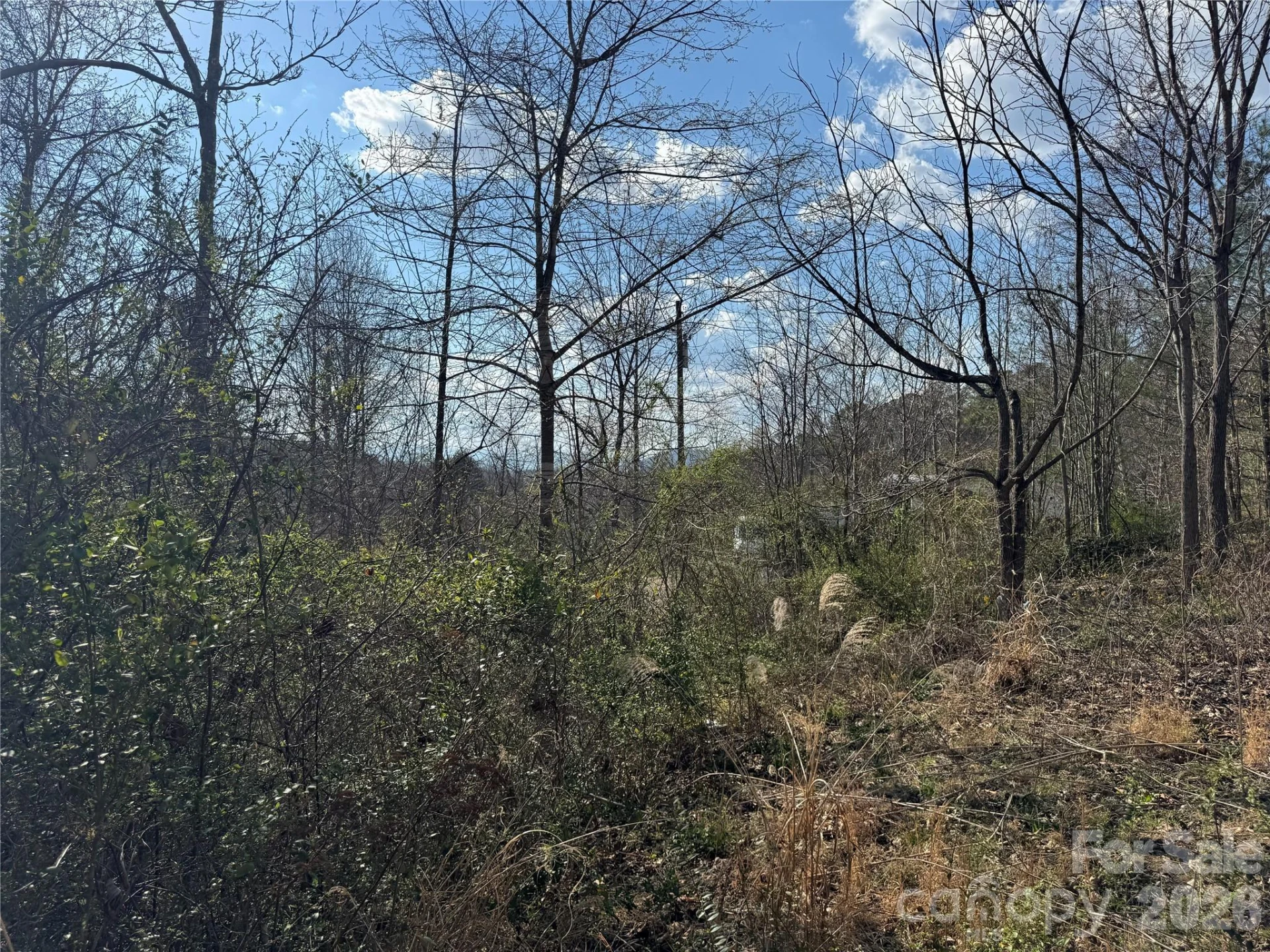 9999 Ox Creek Road - Photo 14
