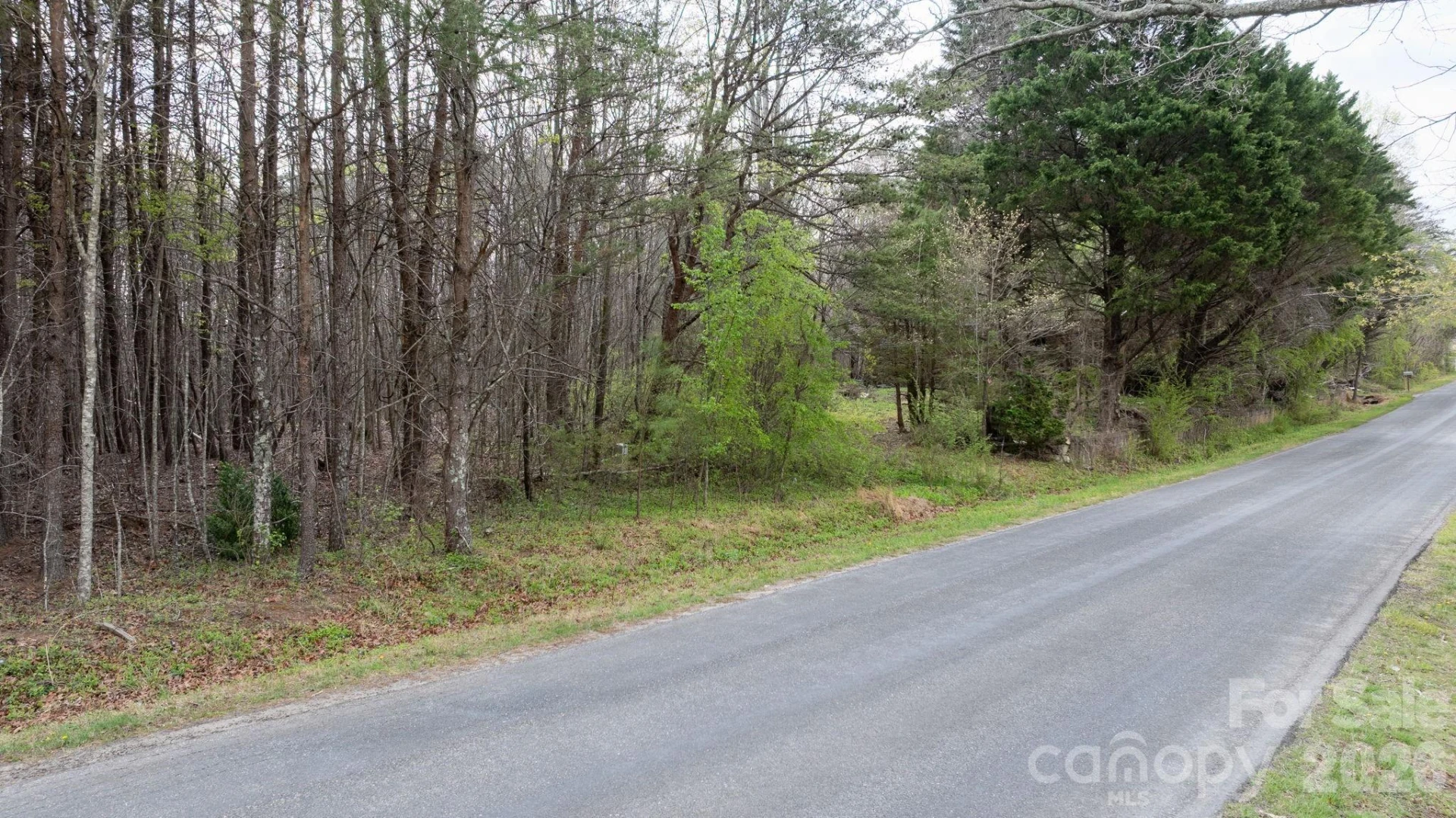 TBD Joe Branch Road - Photo 12