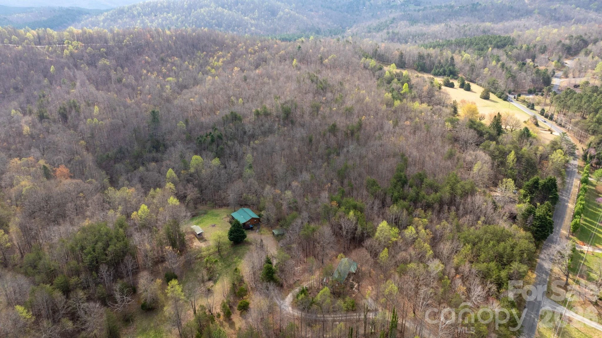 TBD Joe Branch Road - Photo 3