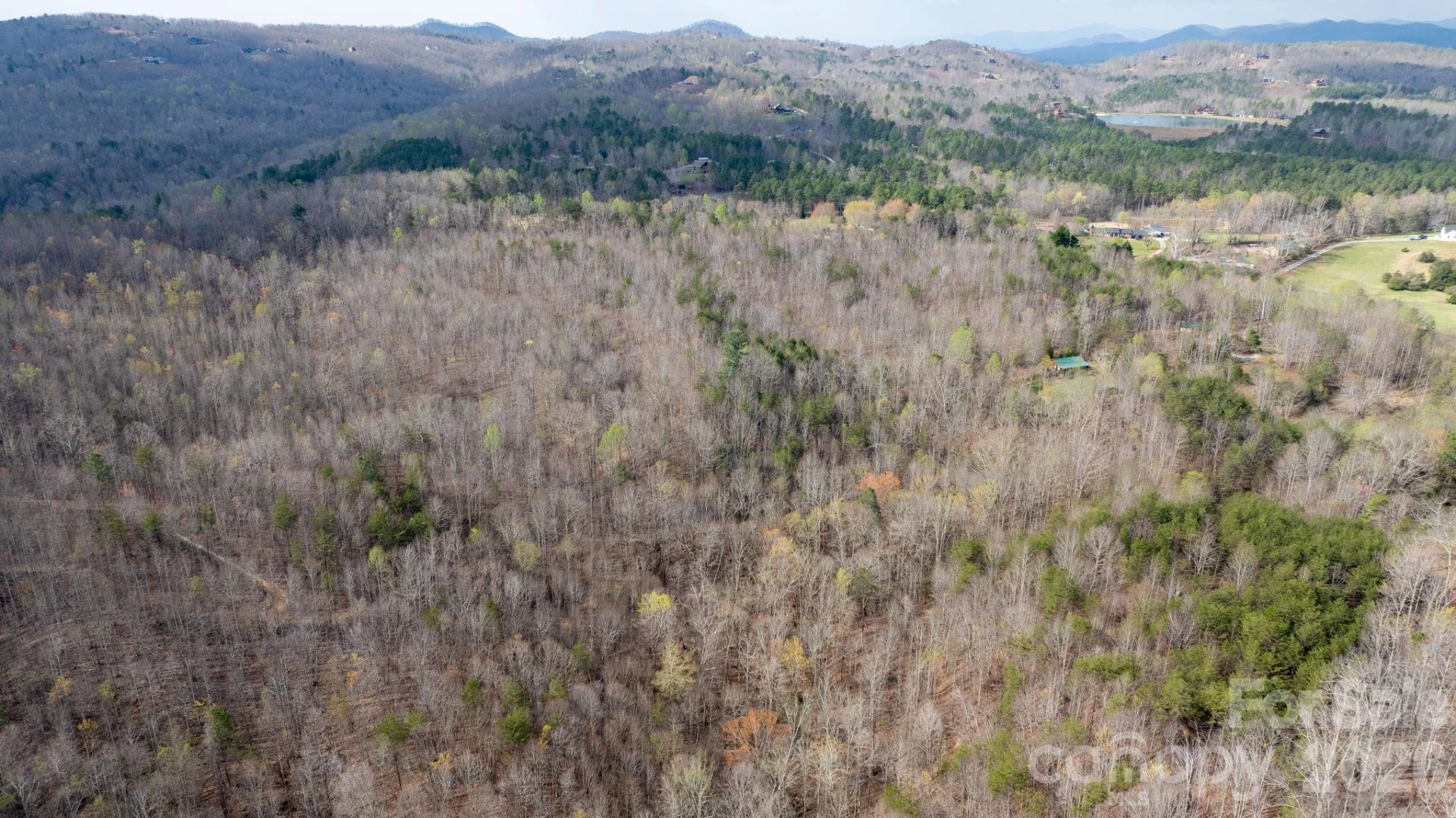 TBD Joe Branch Road - Photo 5
