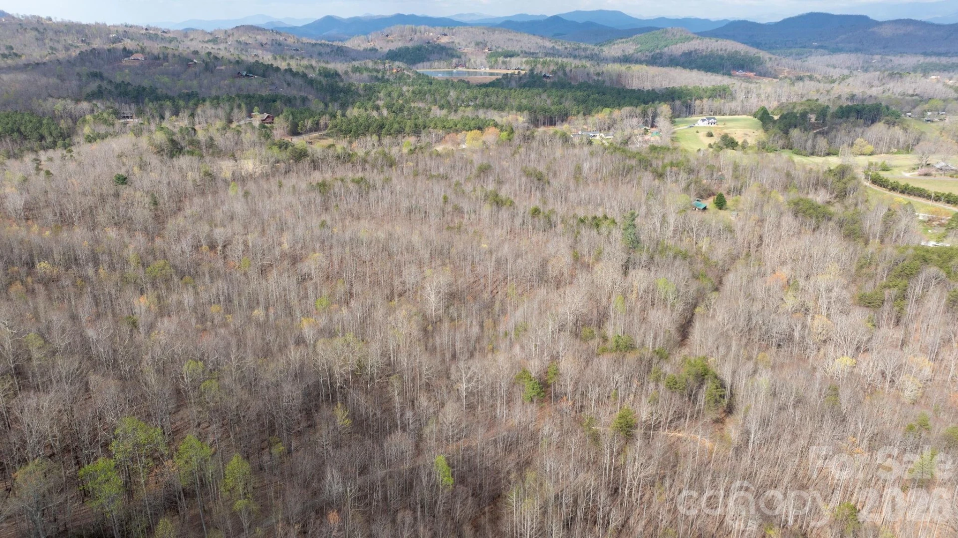 TBD Joe Branch Road - Photo 7