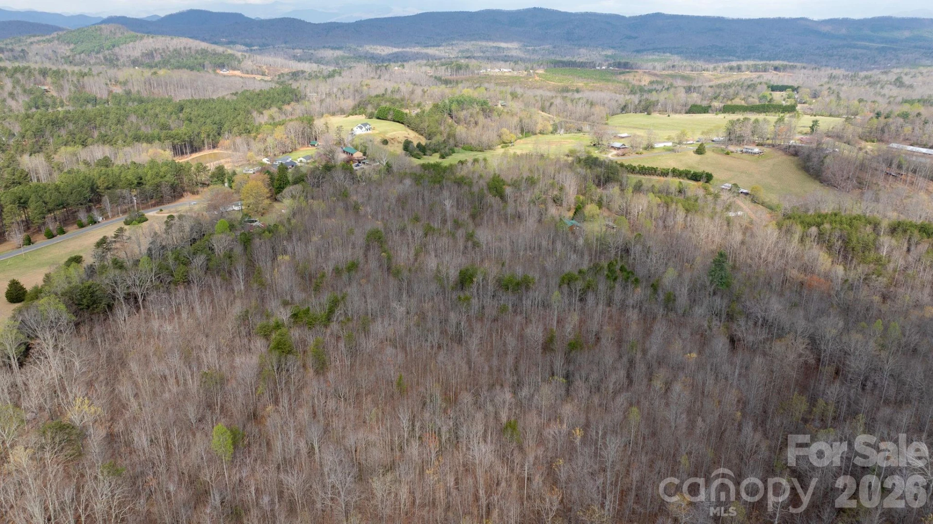 TBD Joe Branch Road - Photo 10