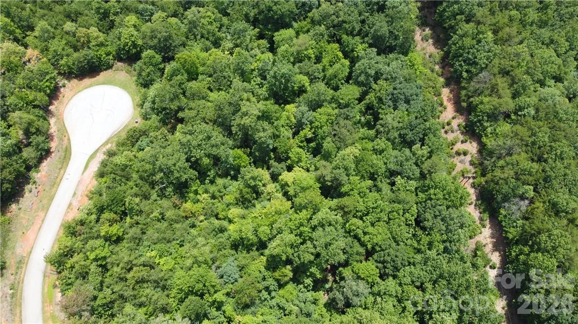 Lot 59 Bear Cliff Way - Photo 2