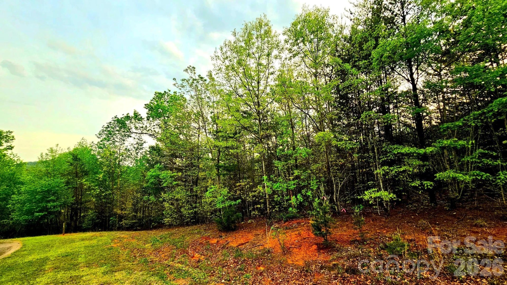 Lot 59 Bear Cliff Way - Photo 15