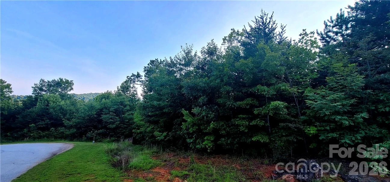 Lot 59 Bear Cliff Way - Photo 3
