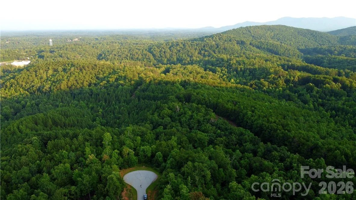 Lot 59 Bear Cliff Way - Photo 29