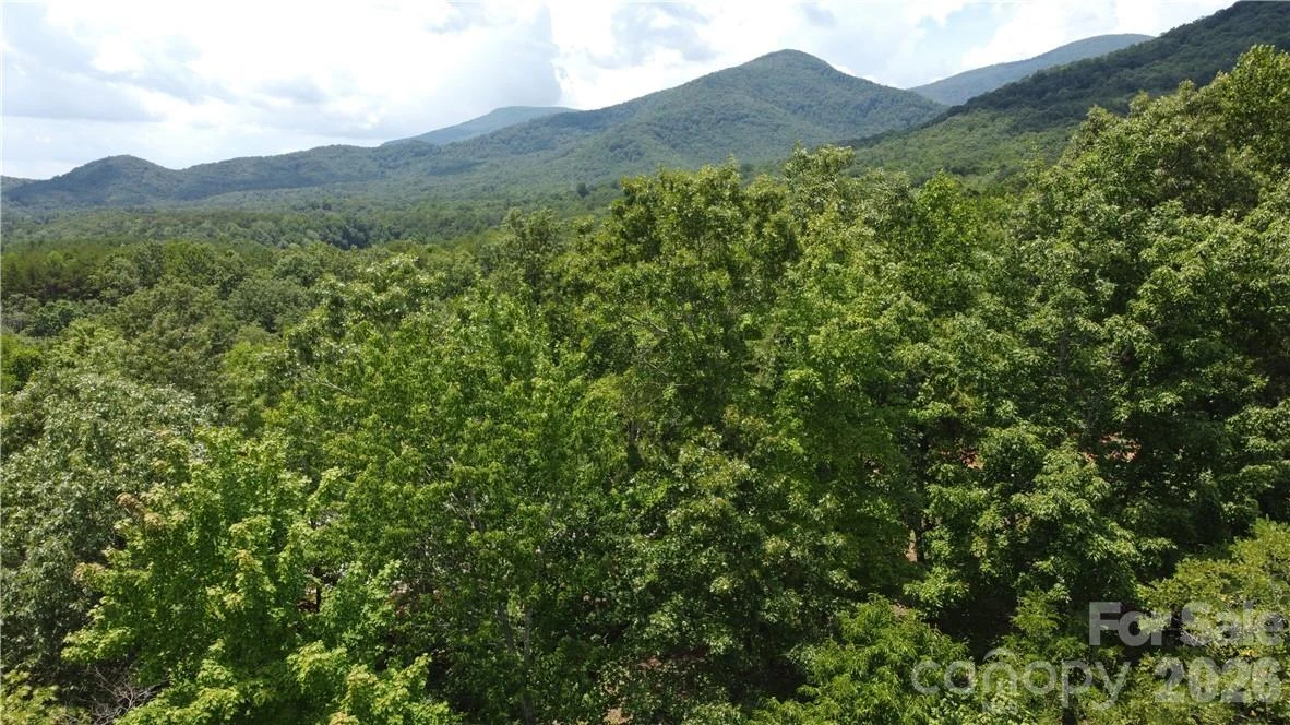 Lot 59 Bear Cliff Way - Photo 37