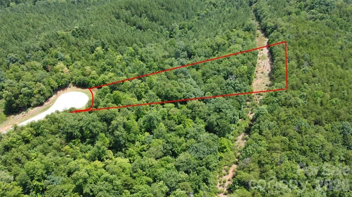 Lot 59 Bear Cliff Way - Photo 6