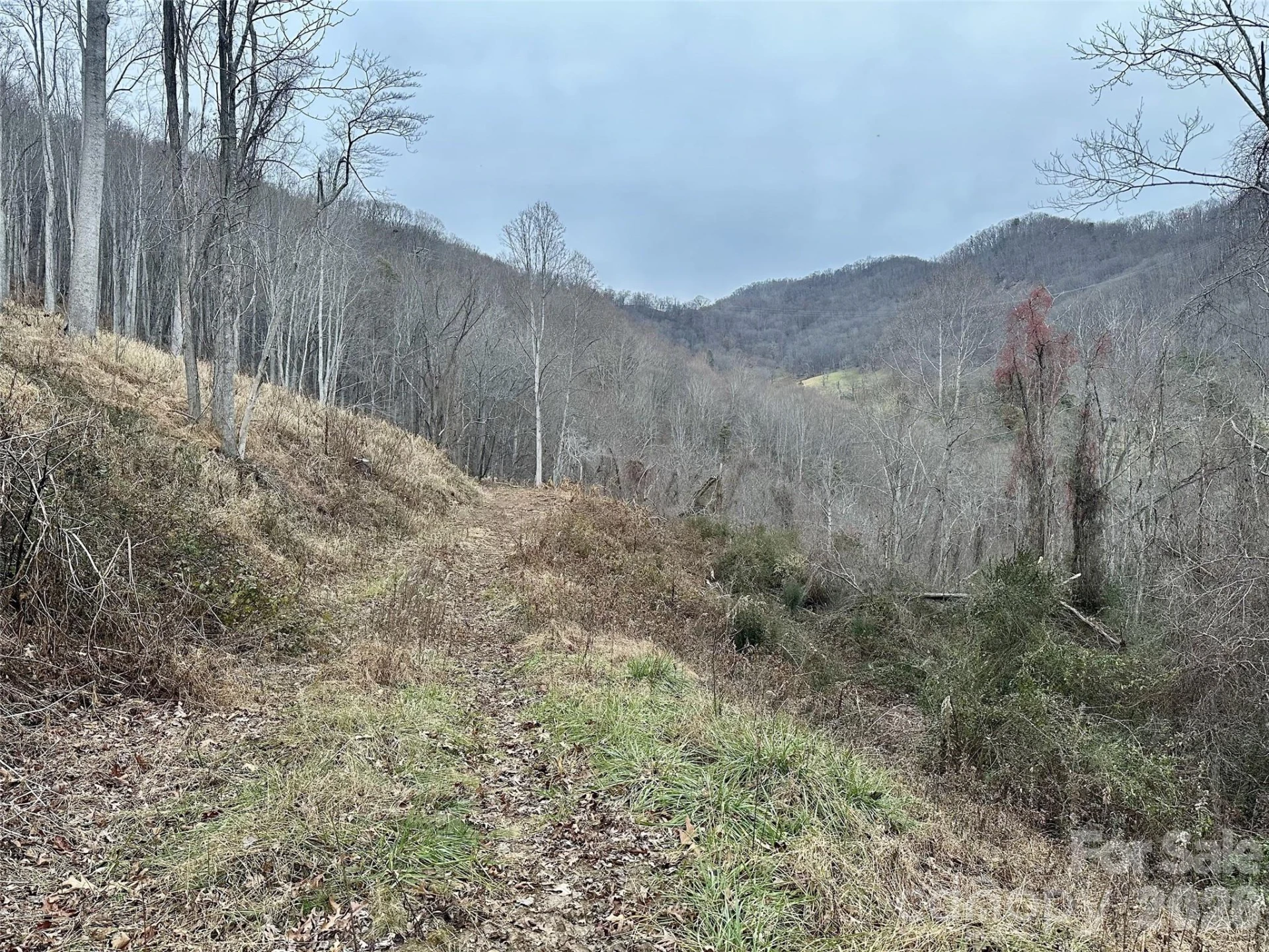 00 Queen Cove Road - Photo 14