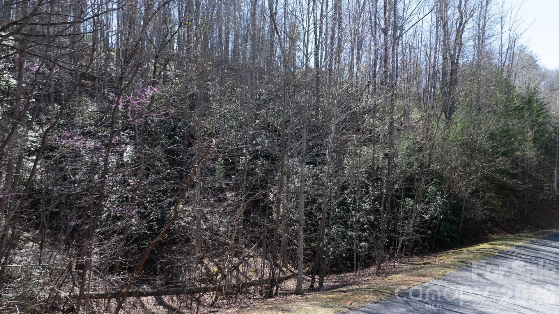 1342 High Trail Drive #Lot 27-11