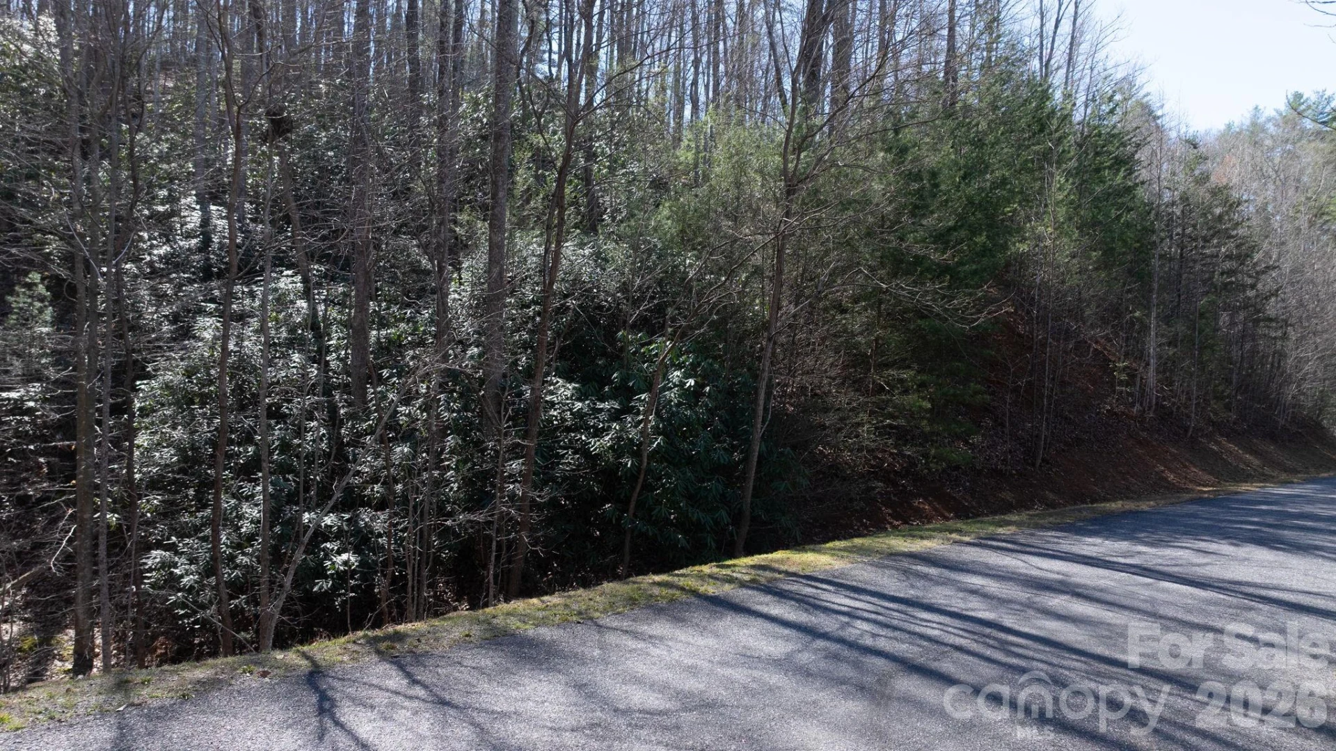 1342 High Trail Drive #Lot 27-11 - Photo 2
