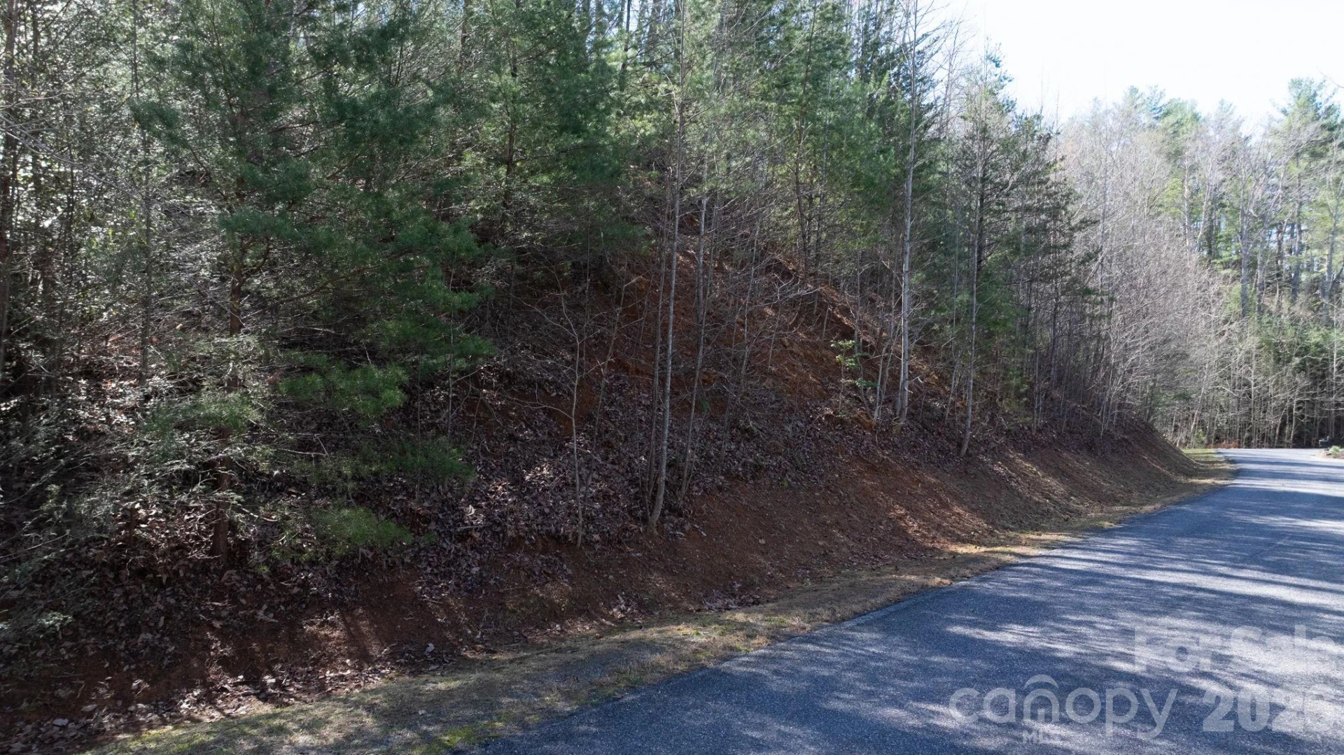 1342 High Trail Drive #Lot 27-11 - Photo 3