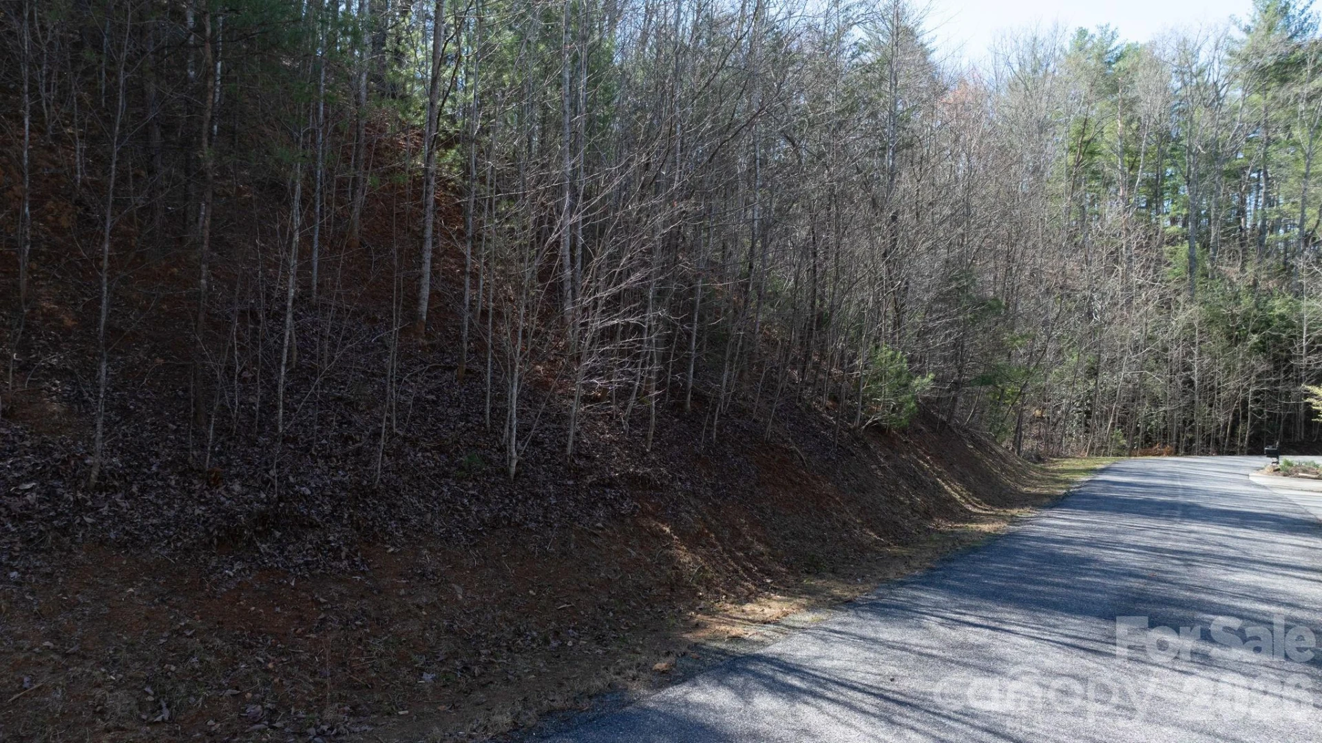 1342 High Trail Drive #Lot 27-11 - Photo 4