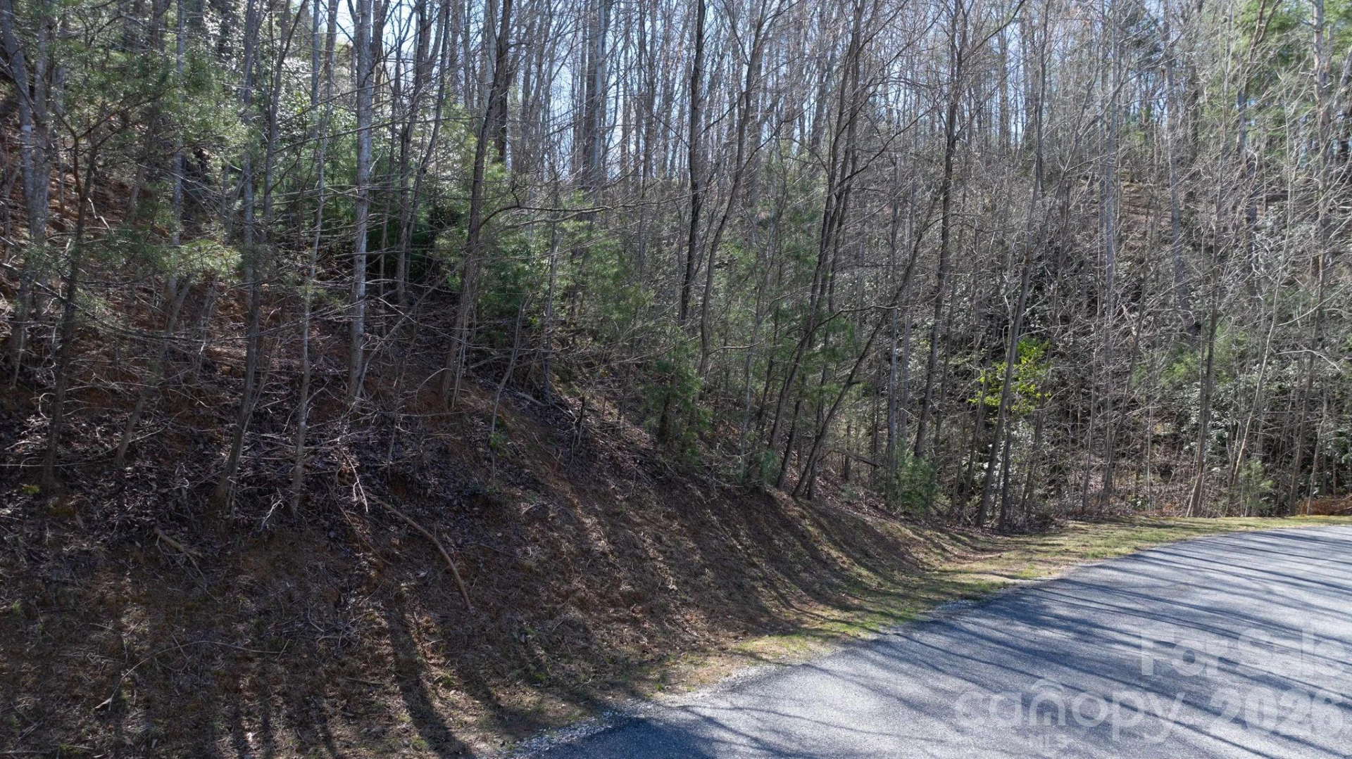 1342 High Trail Drive #Lot 27-11 - Photo 5