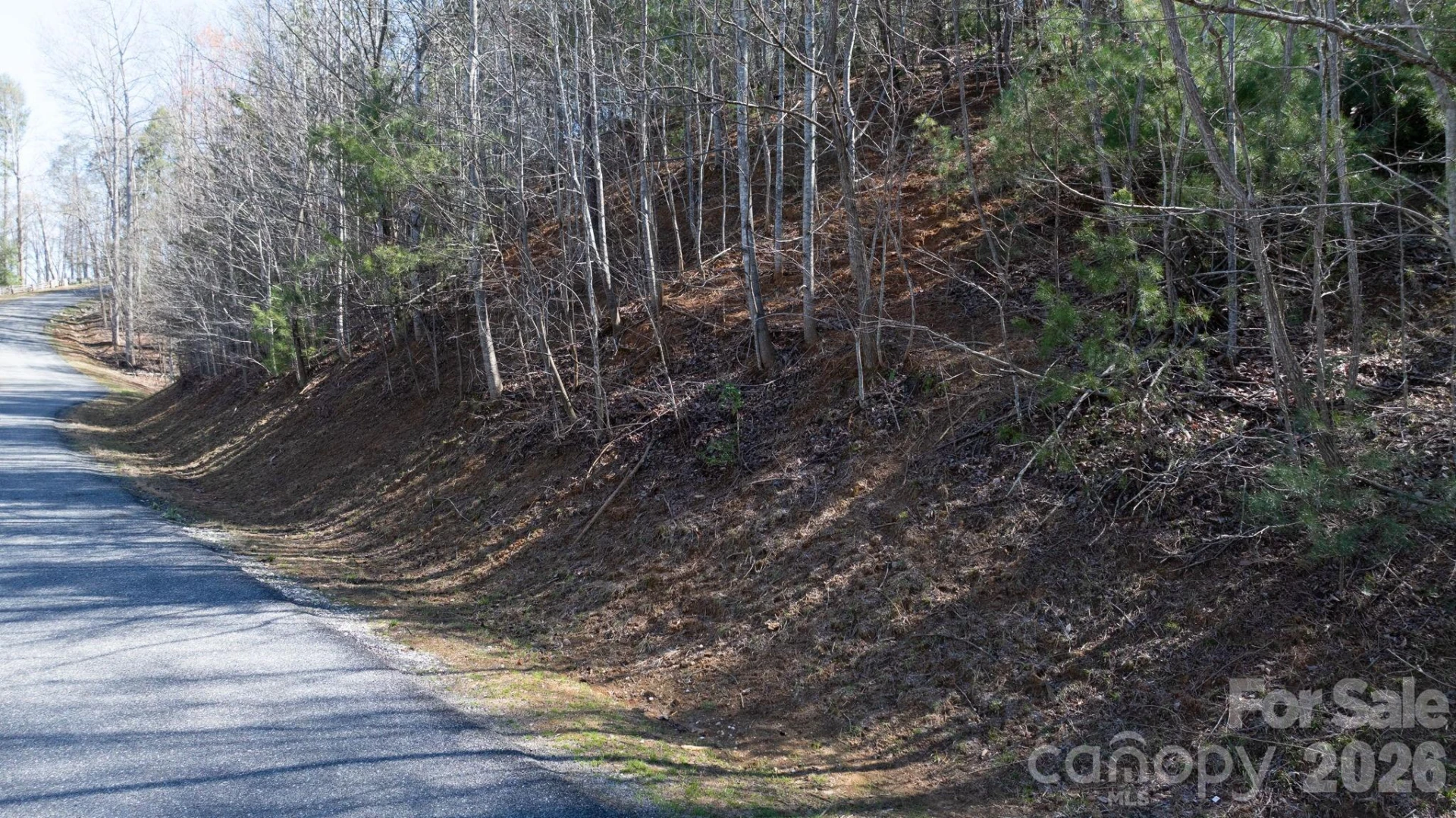 1342 High Trail Drive #Lot 27-11 - Photo 7