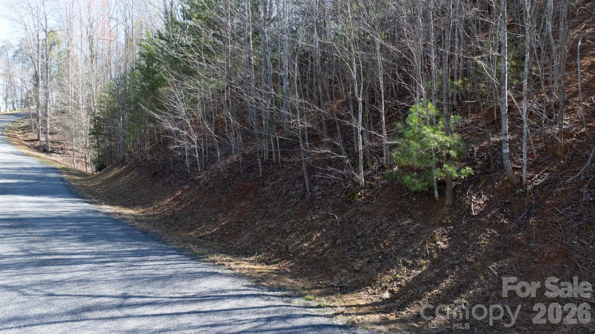 1342 High Trail Drive #Lot 27-11 - Photo 8