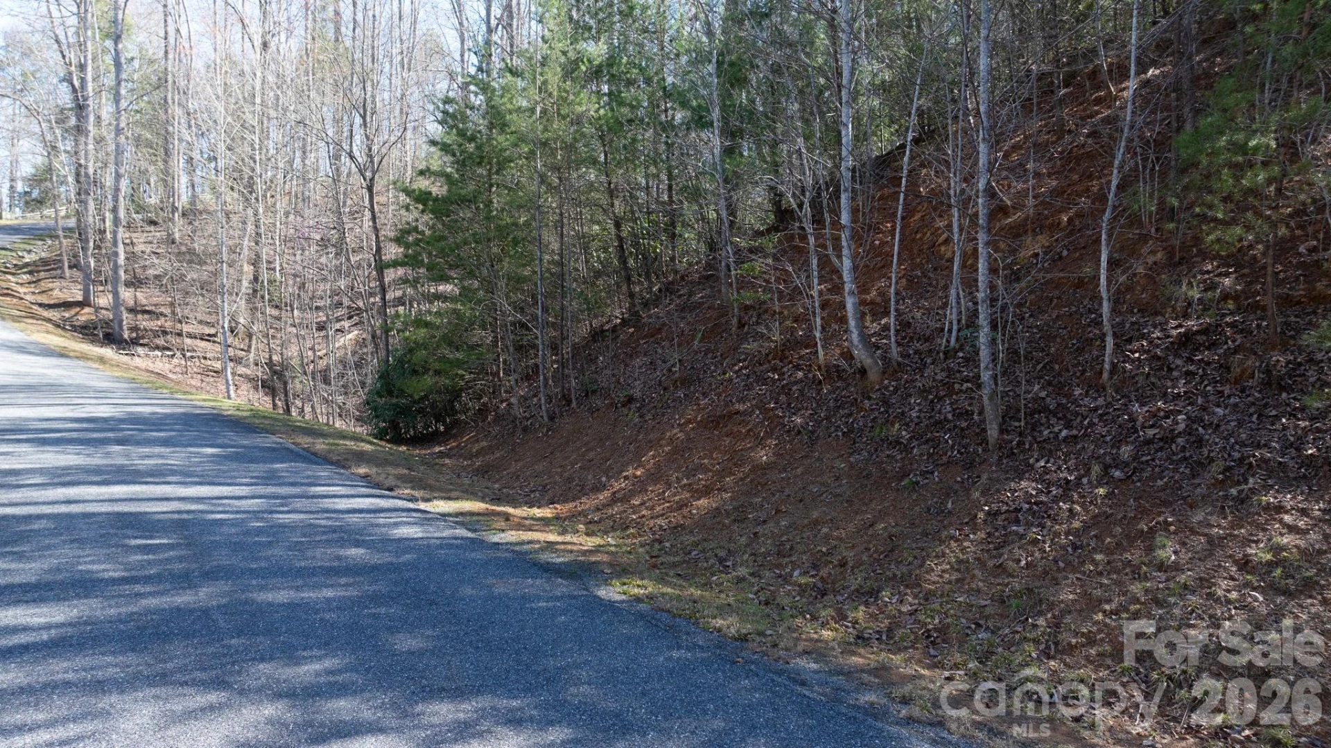 1342 High Trail Drive #Lot 27-11 - Photo 9