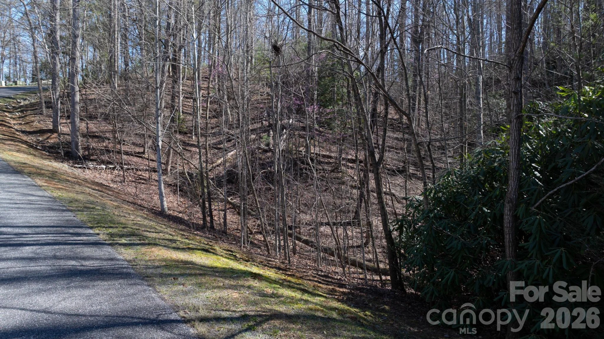 1342 High Trail Drive #Lot 27-11 - Photo 10