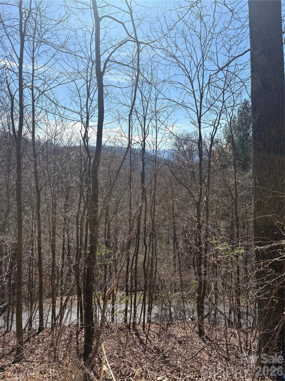 344 Running Deer Lane #71 - Photo 4