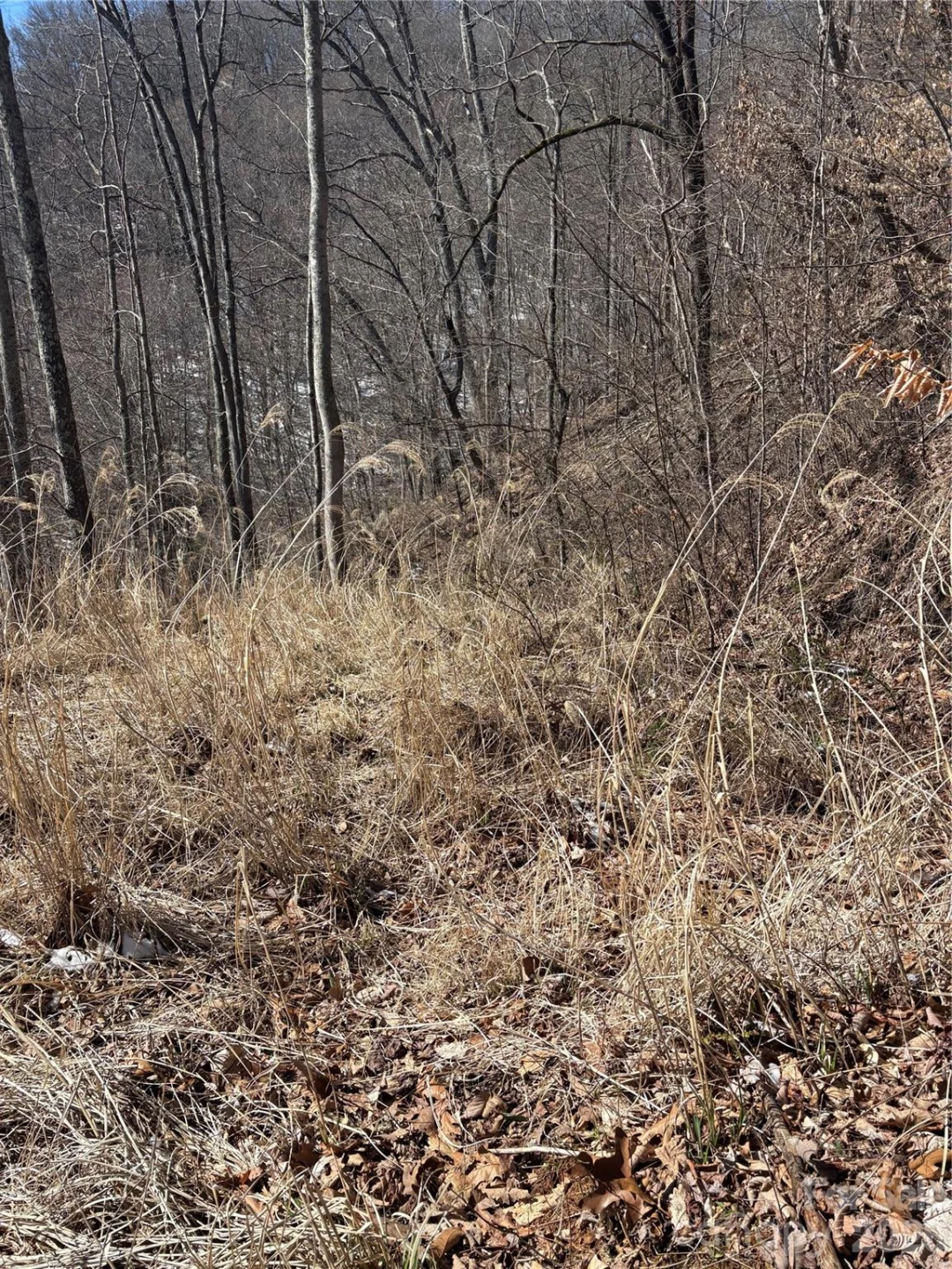 344 Running Deer Lane #71 - Photo 8