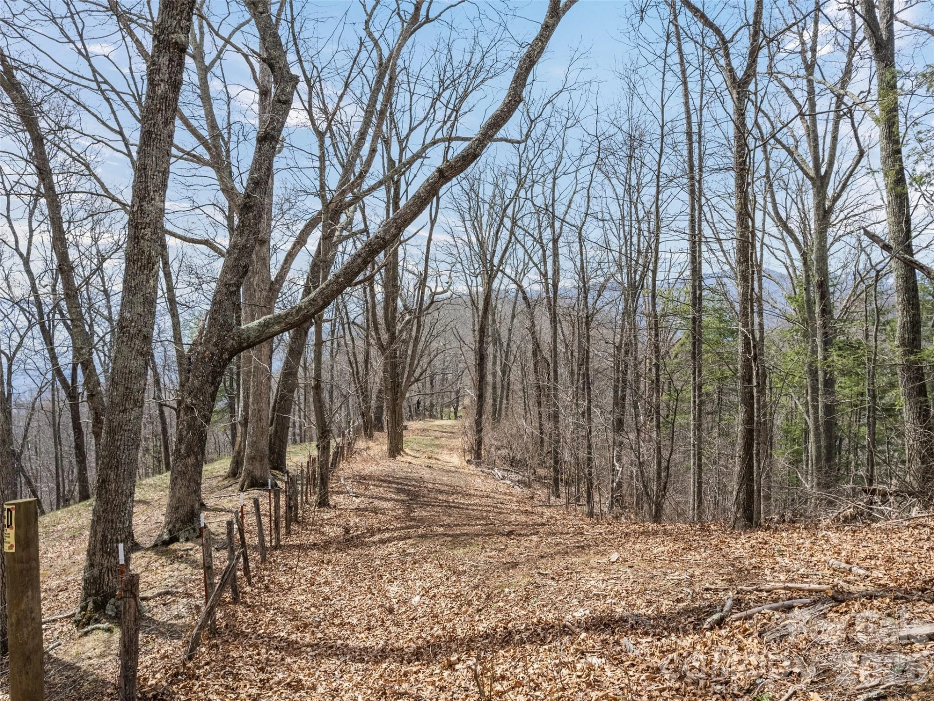 415 Treetop Lane - Photo 29