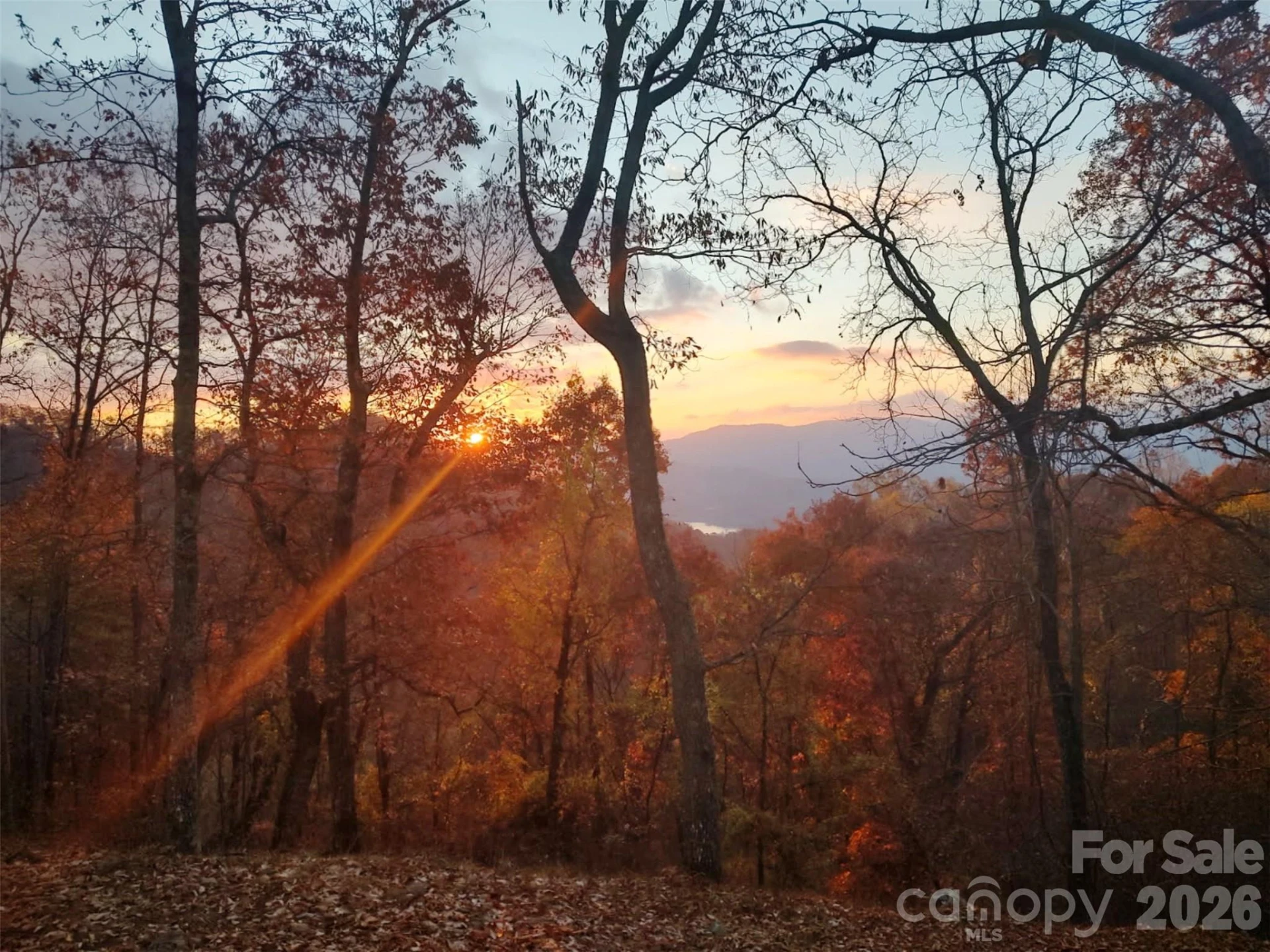 415 Treetop Lane - Photo 30